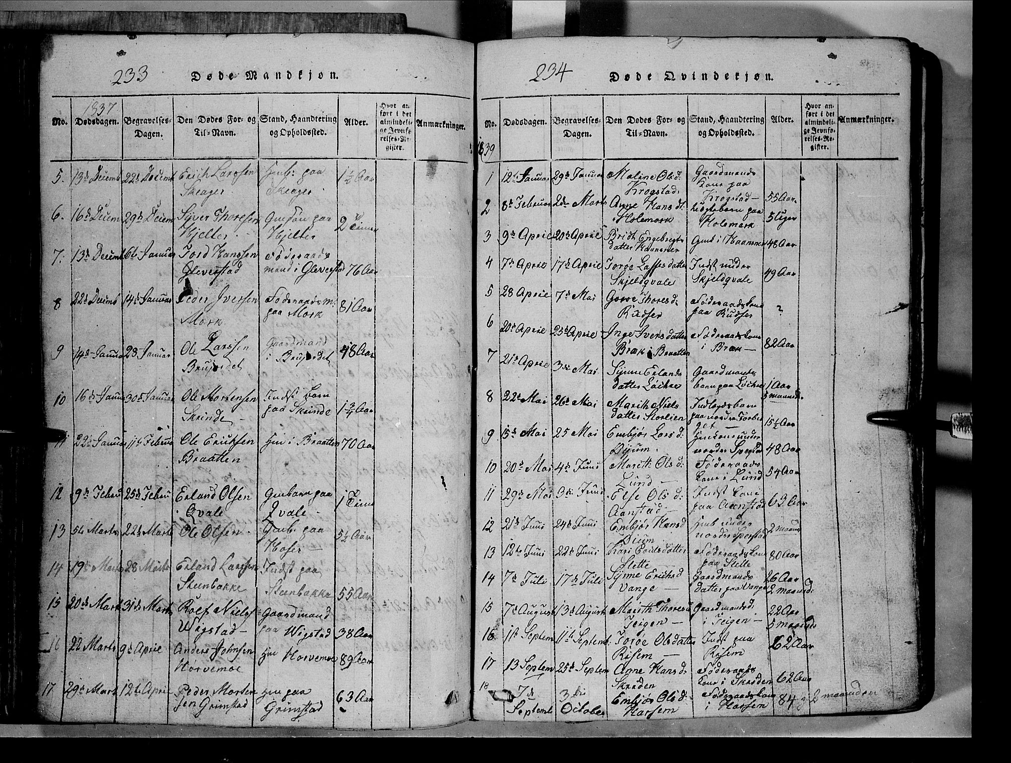 Lom prestekontor, SAH/PREST-070/L/L0003: Parish register (copy) no. 3, 1815-1844, p. 233-234