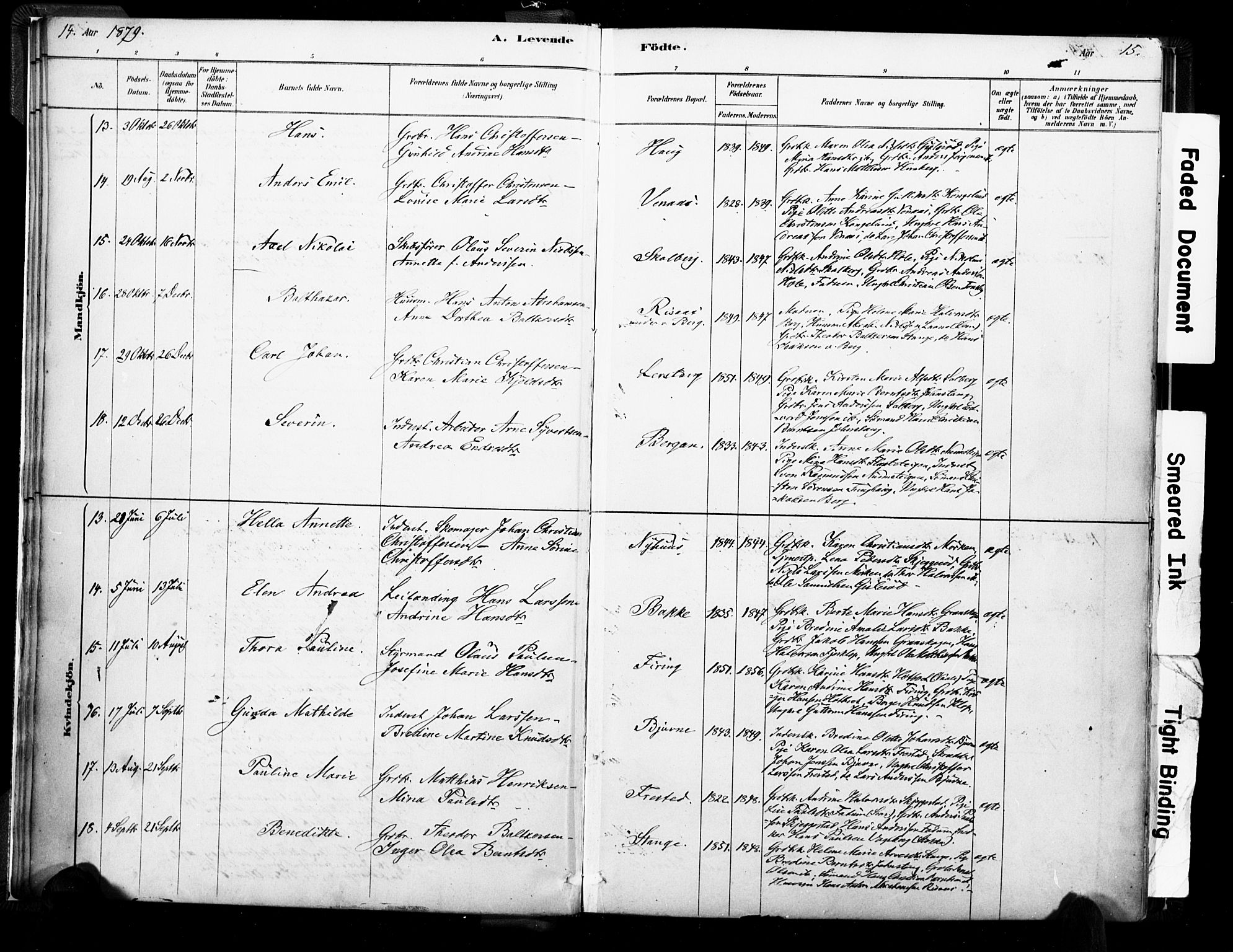 Ramnes kirkebøker, AV/SAKO-A-314/F/Fa/L0007: Parish register (official) no. I 7, 1878-1895, p. 14-15