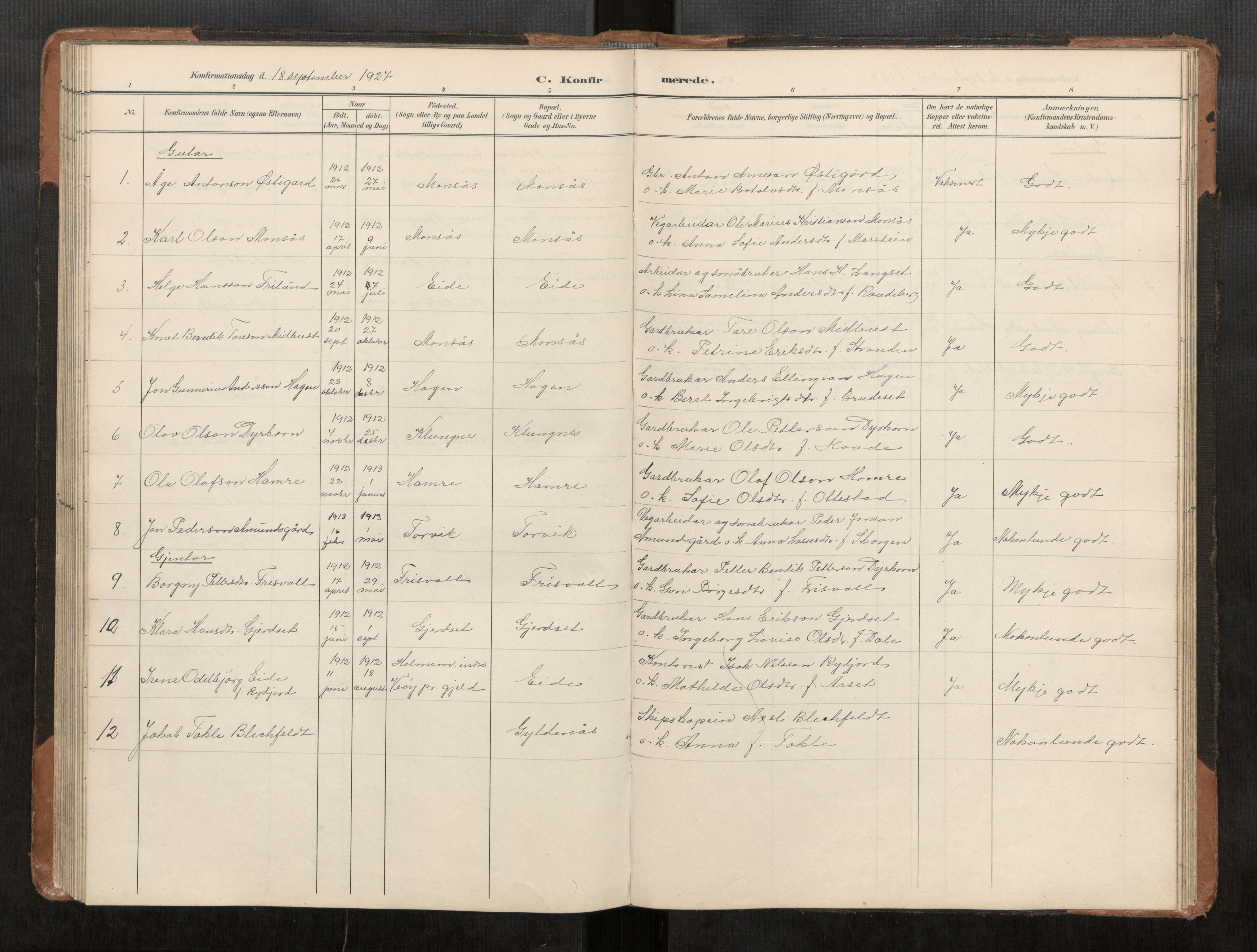 Ministerialprotokoller, klokkerbøker og fødselsregistre - Møre og Romsdal, AV/SAT-A-1454/542/L0561: Parish register (copy) no. 542C03, 1893-1931