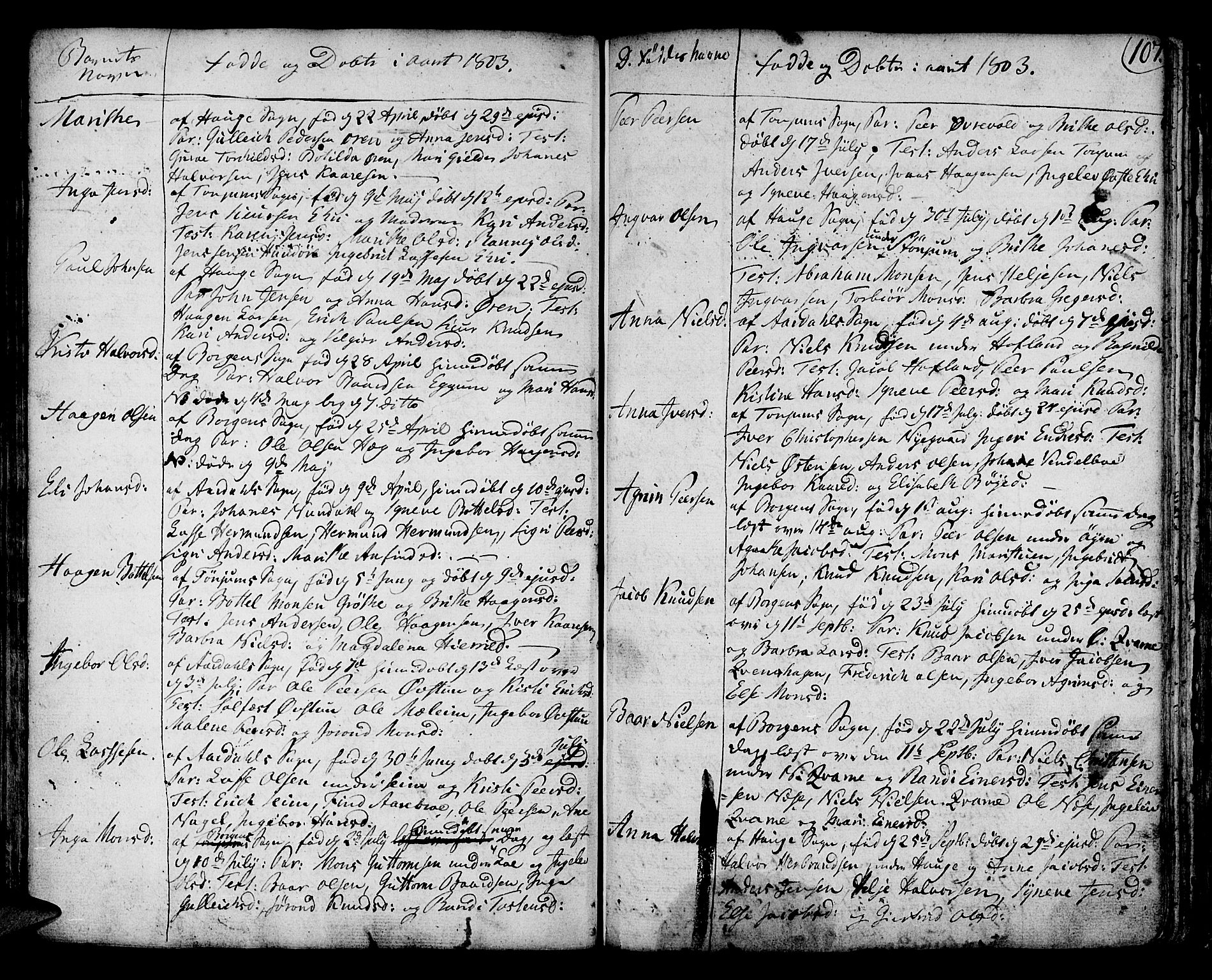 Lærdal sokneprestembete, SAB/A-81201: Parish register (official) no. A 3, 1783-1804, p. 107