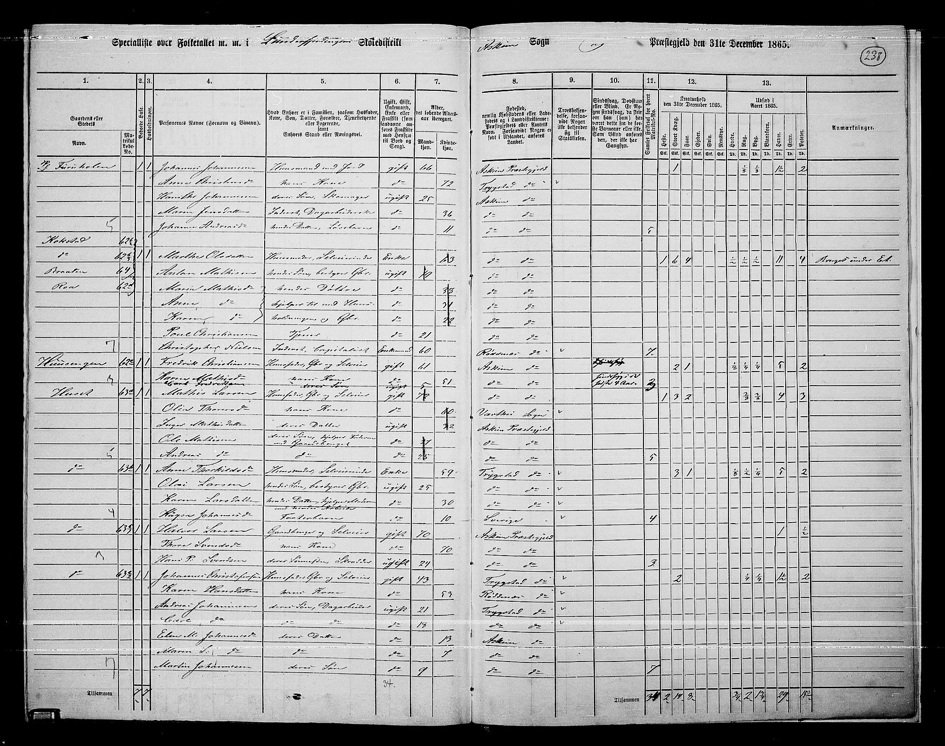 RA, 1865 census for Askim, 1865, p. 95