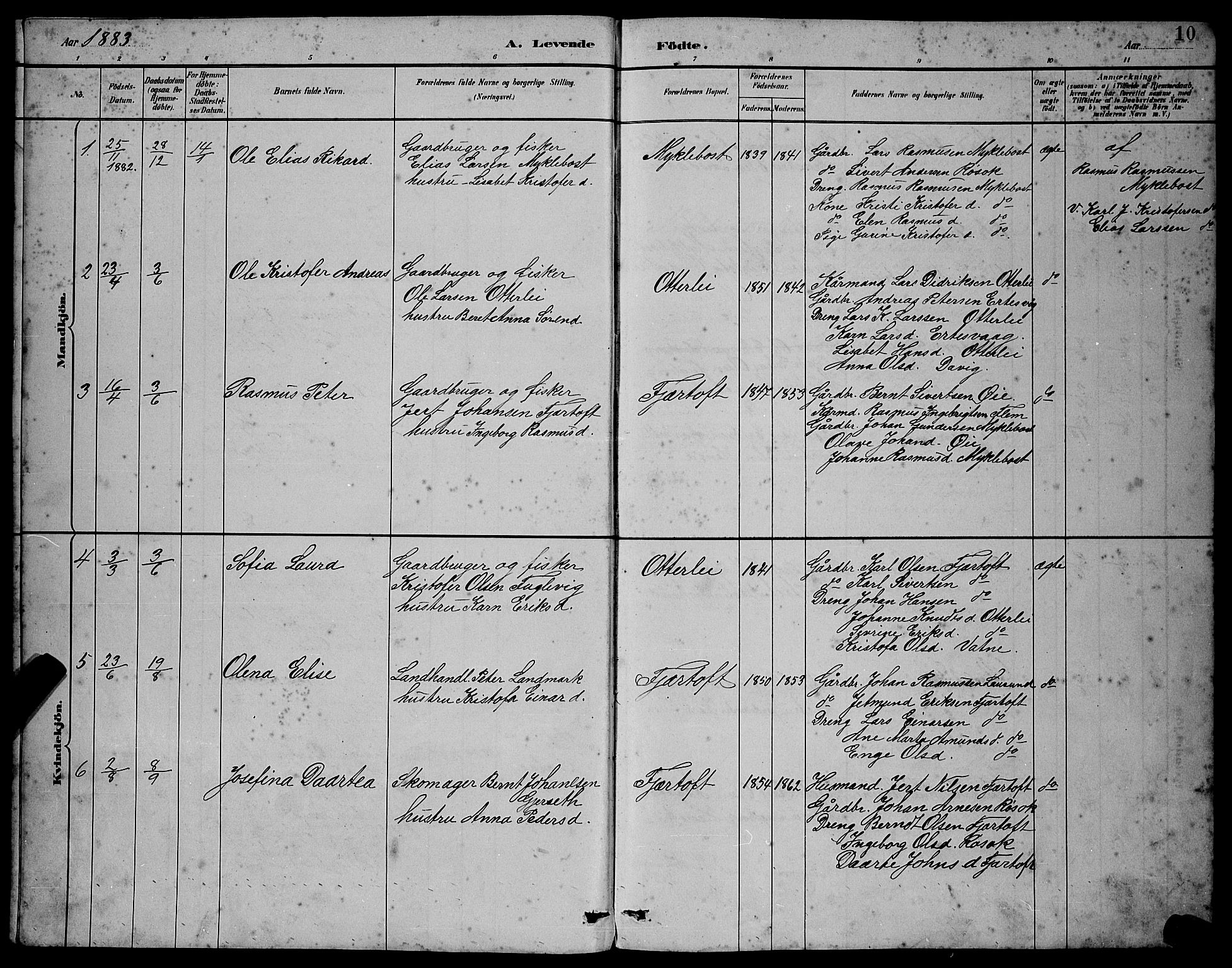 Ministerialprotokoller, klokkerbøker og fødselsregistre - Møre og Romsdal, SAT/A-1454/538/L0523: Parish register (copy) no. 538C01, 1881-1900, p. 10