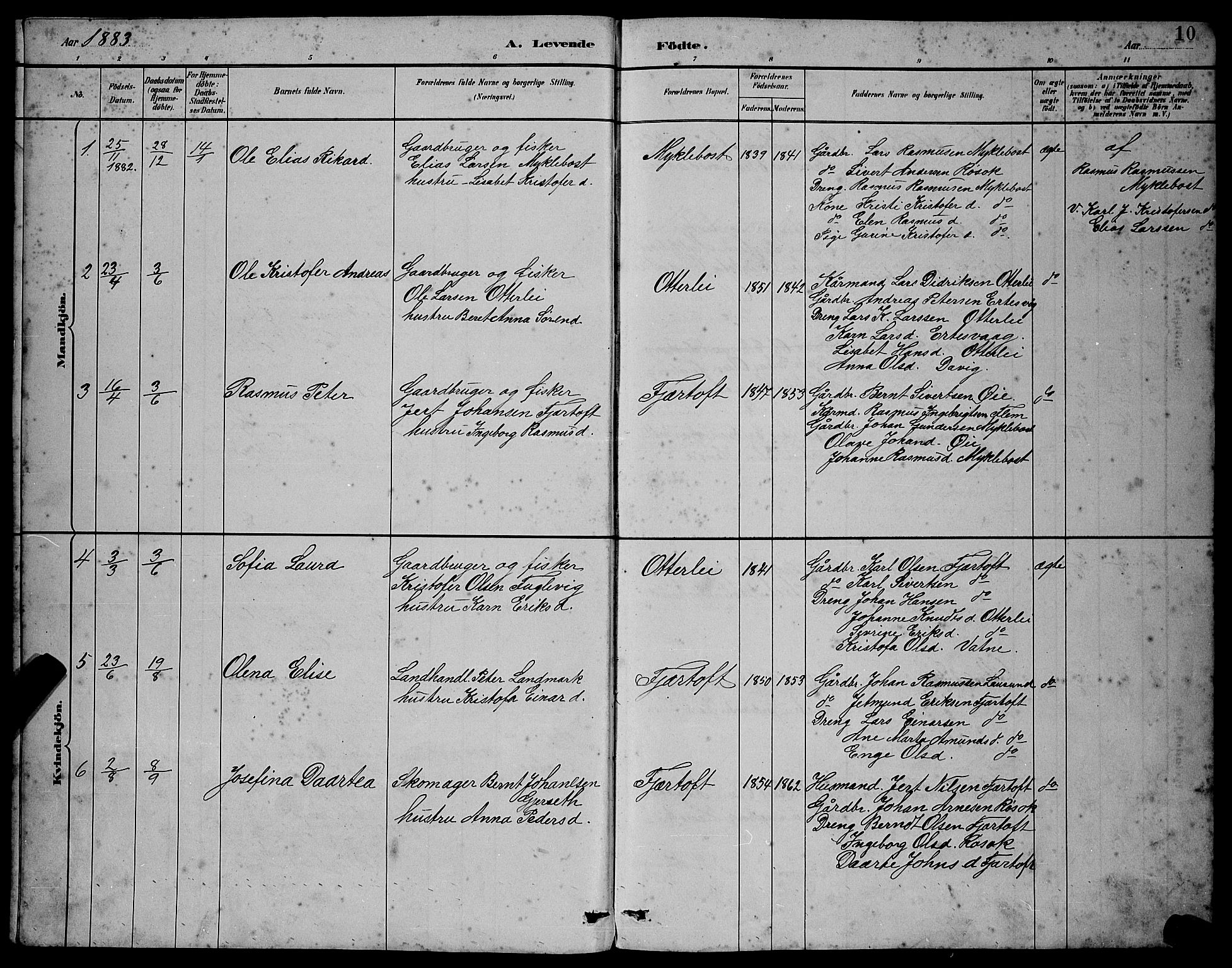 Ministerialprotokoller, klokkerbøker og fødselsregistre - Møre og Romsdal, AV/SAT-A-1454/538/L0523: Parish register (copy) no. 538C01, 1881-1900, p. 10