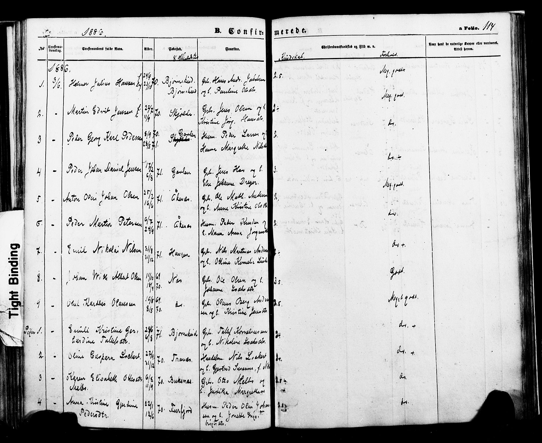 Ministerialprotokoller, klokkerbøker og fødselsregistre - Nordland, AV/SAT-A-1459/898/L1421: Parish register (official) no. 898A01, 1866-1886, p. 114