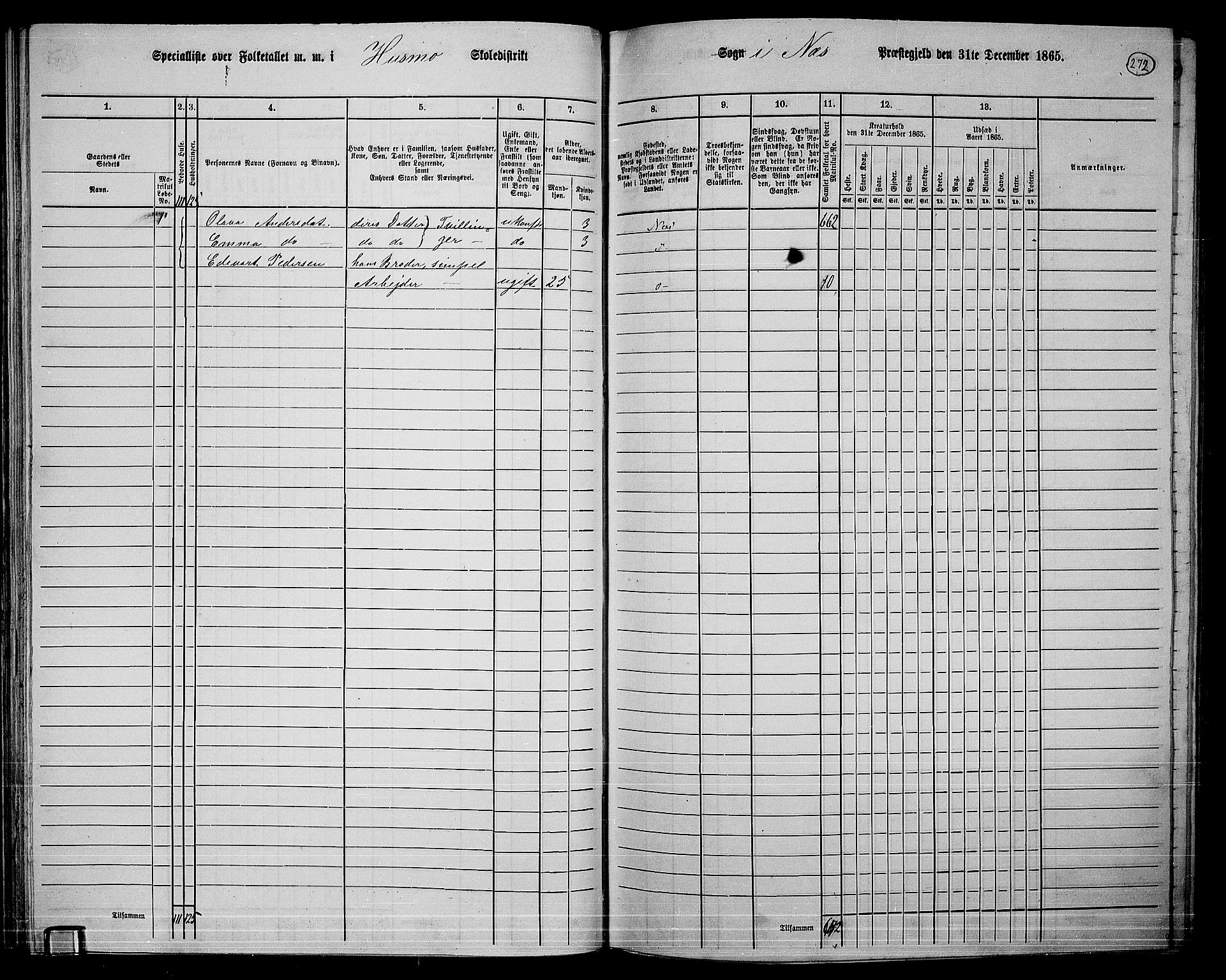 RA, 1865 census for Nes, 1865, p. 255