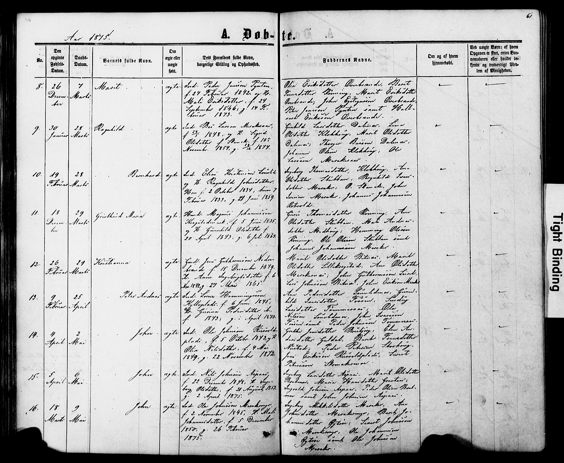 Ministerialprotokoller, klokkerbøker og fødselsregistre - Nord-Trøndelag, SAT/A-1458/706/L0049: Parish register (copy) no. 706C01, 1864-1895, p. 61