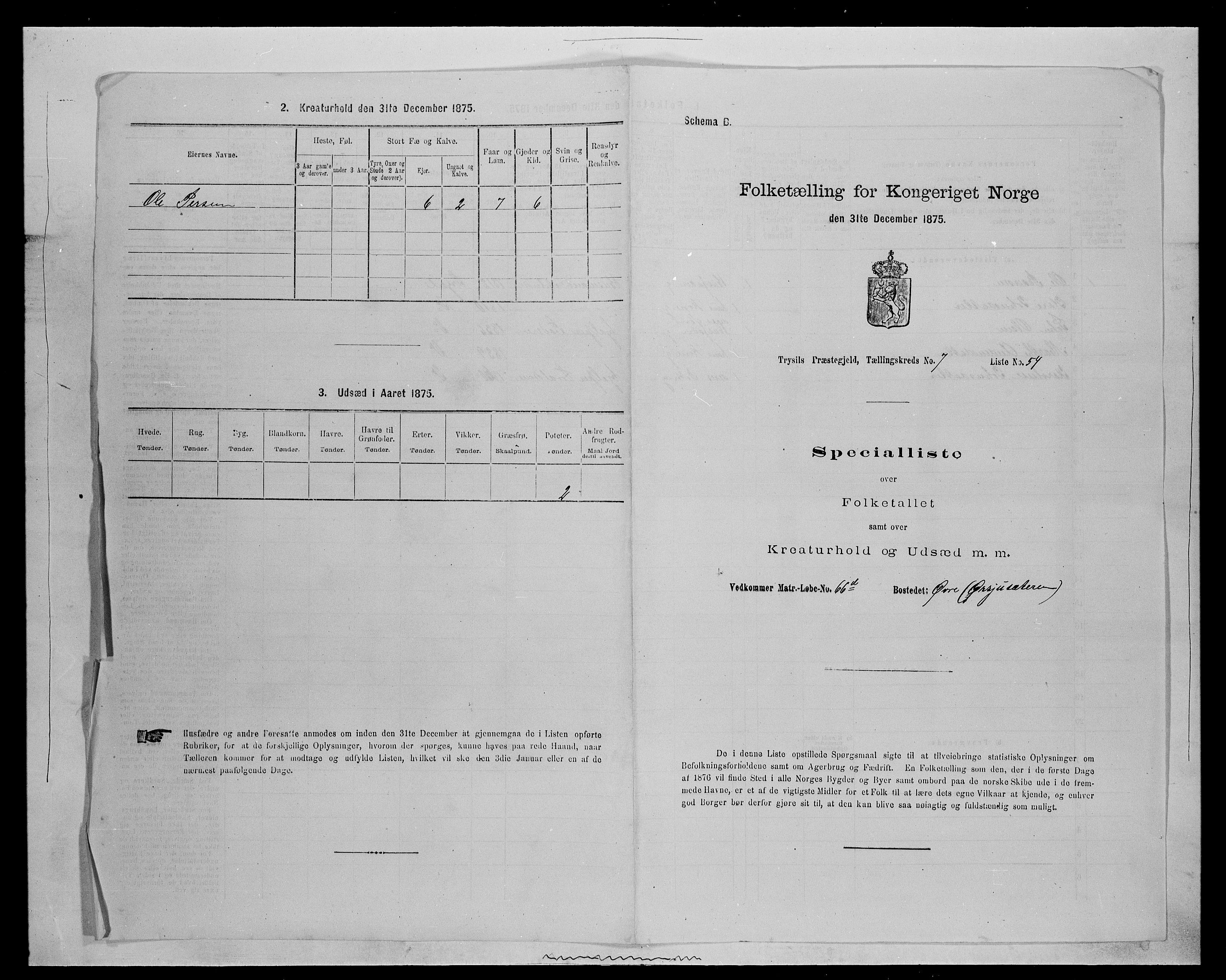 SAH, 1875 census for 0428P Trysil, 1875, p. 952