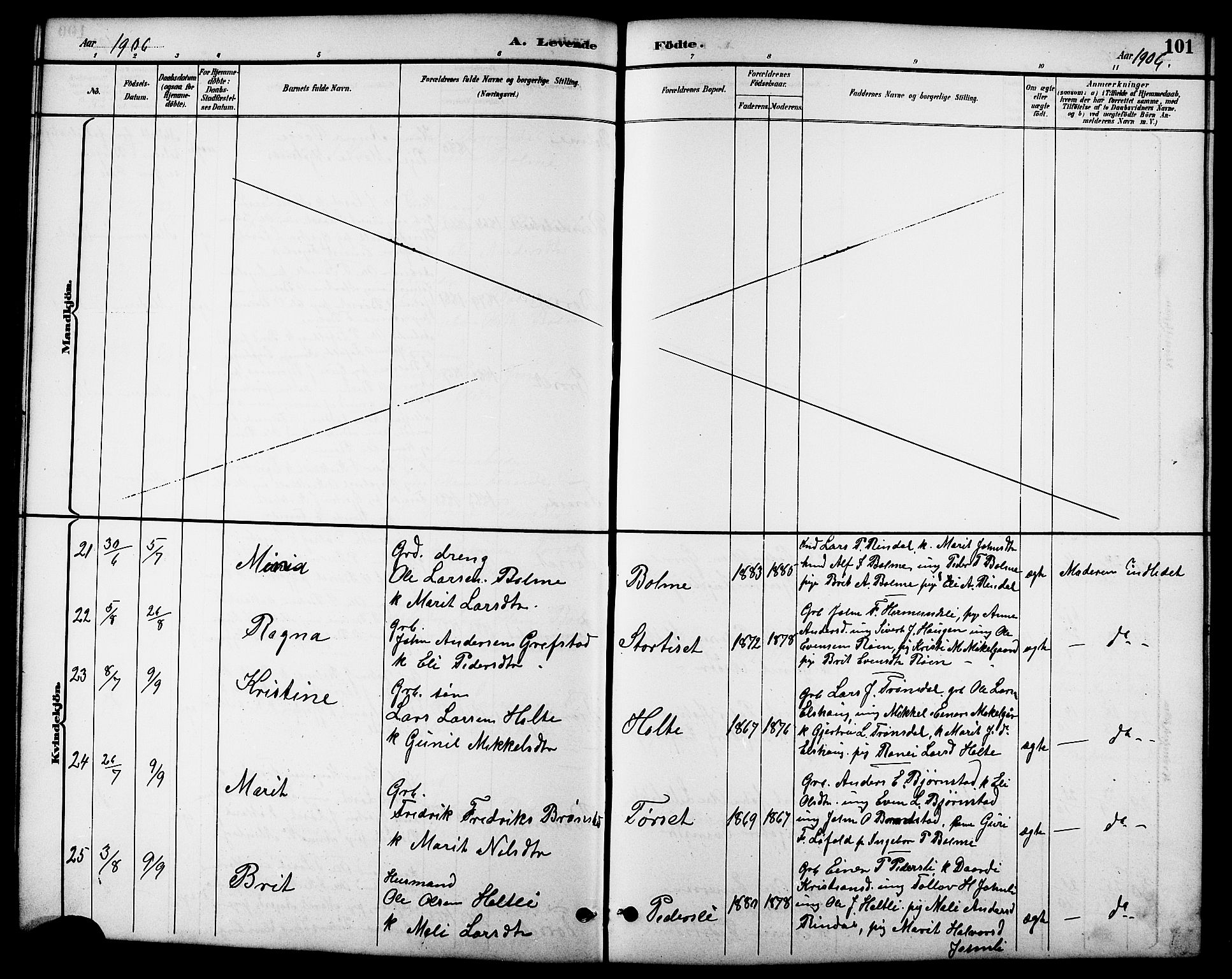 Ministerialprotokoller, klokkerbøker og fødselsregistre - Møre og Romsdal, AV/SAT-A-1454/598/L1078: Parish register (copy) no. 598C03, 1892-1909, p. 101