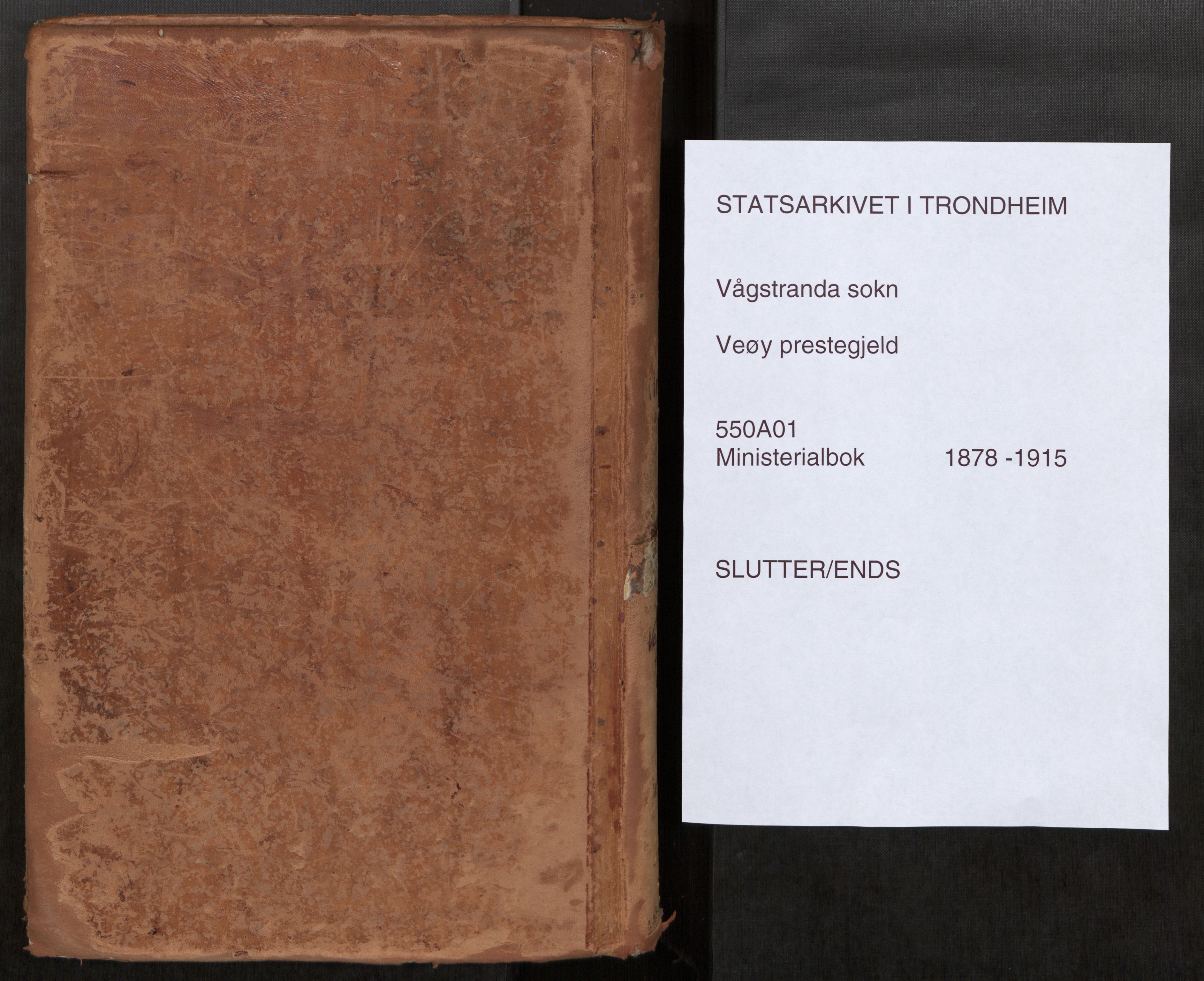 Ministerialprotokoller, klokkerbøker og fødselsregistre - Møre og Romsdal, AV/SAT-A-1454/550/L0621: Parish register (official) no. 550A01, 1878-1915