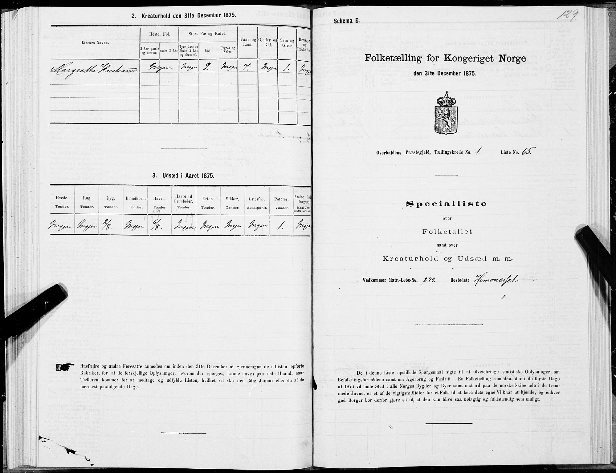 SAT, 1875 census for 1744P Overhalla, 1875, p. 1129