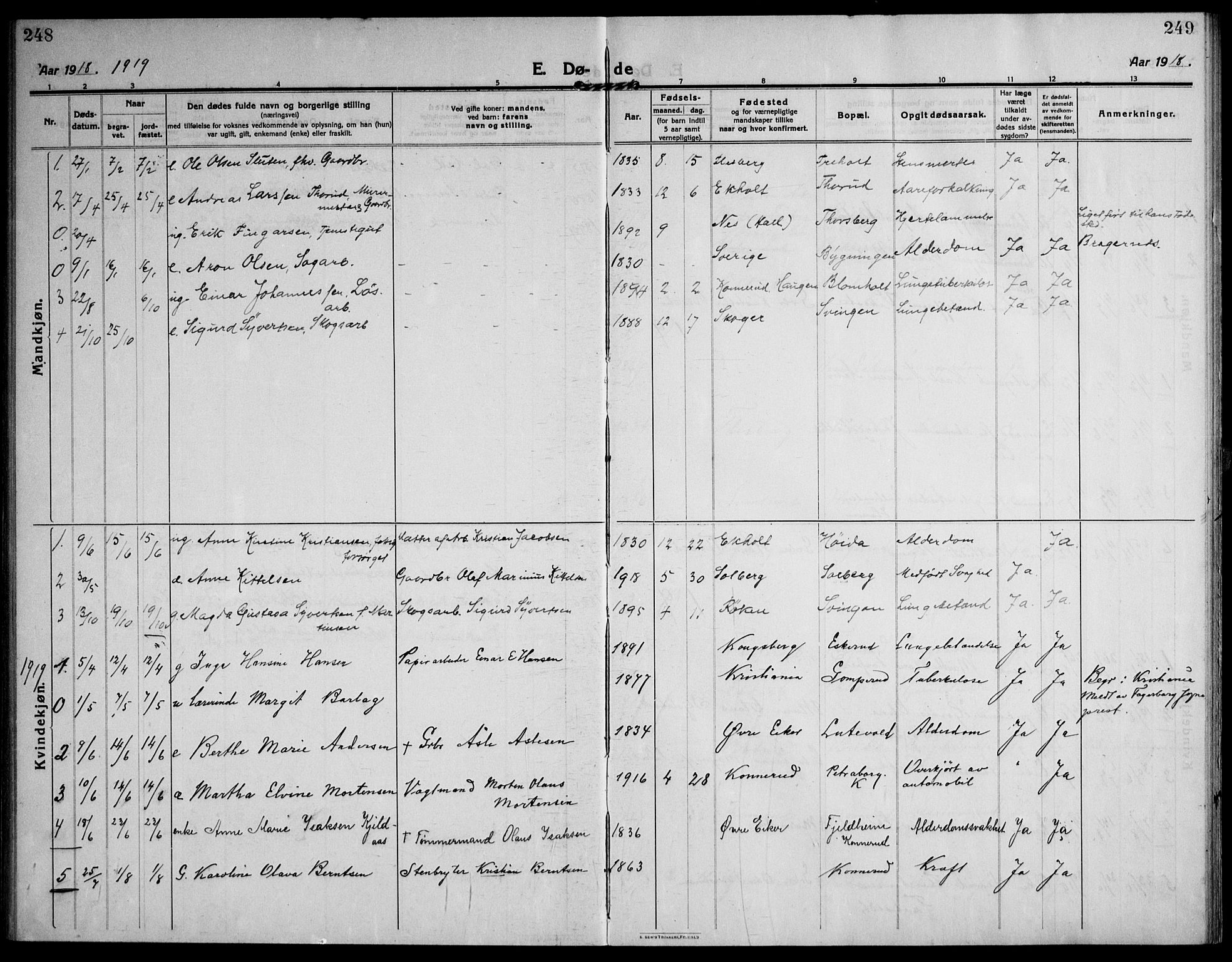 Skoger kirkebøker, AV/SAKO-A-59/F/Fb/L0002: Parish register (official) no. II 2, 1914-1941, p. 248-249