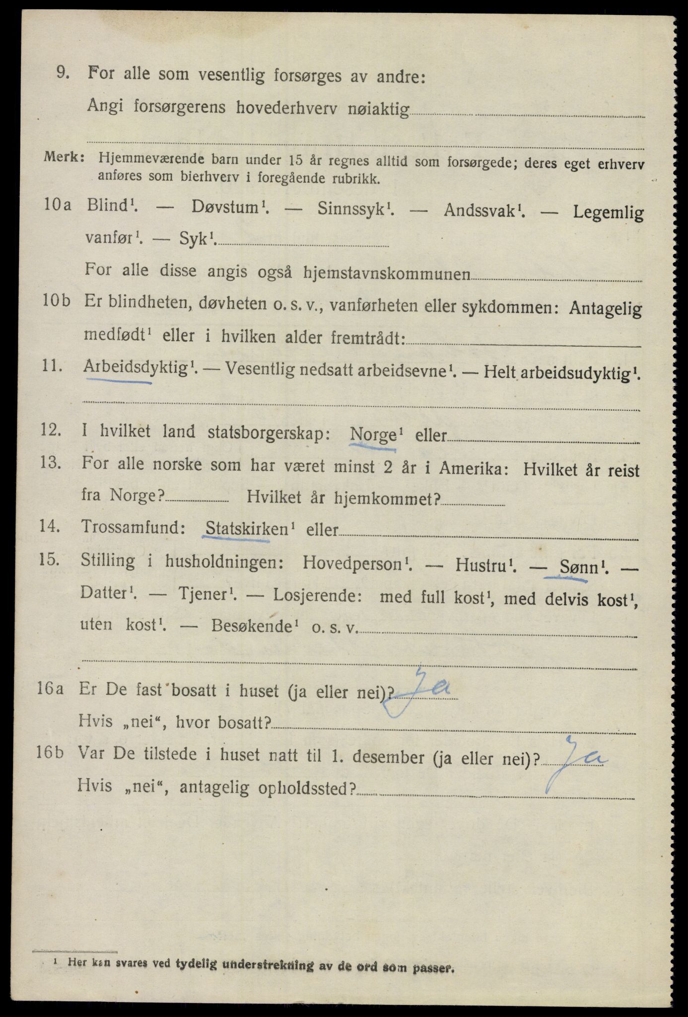 SAO, 1920 census for Nes, 1920, p. 22651