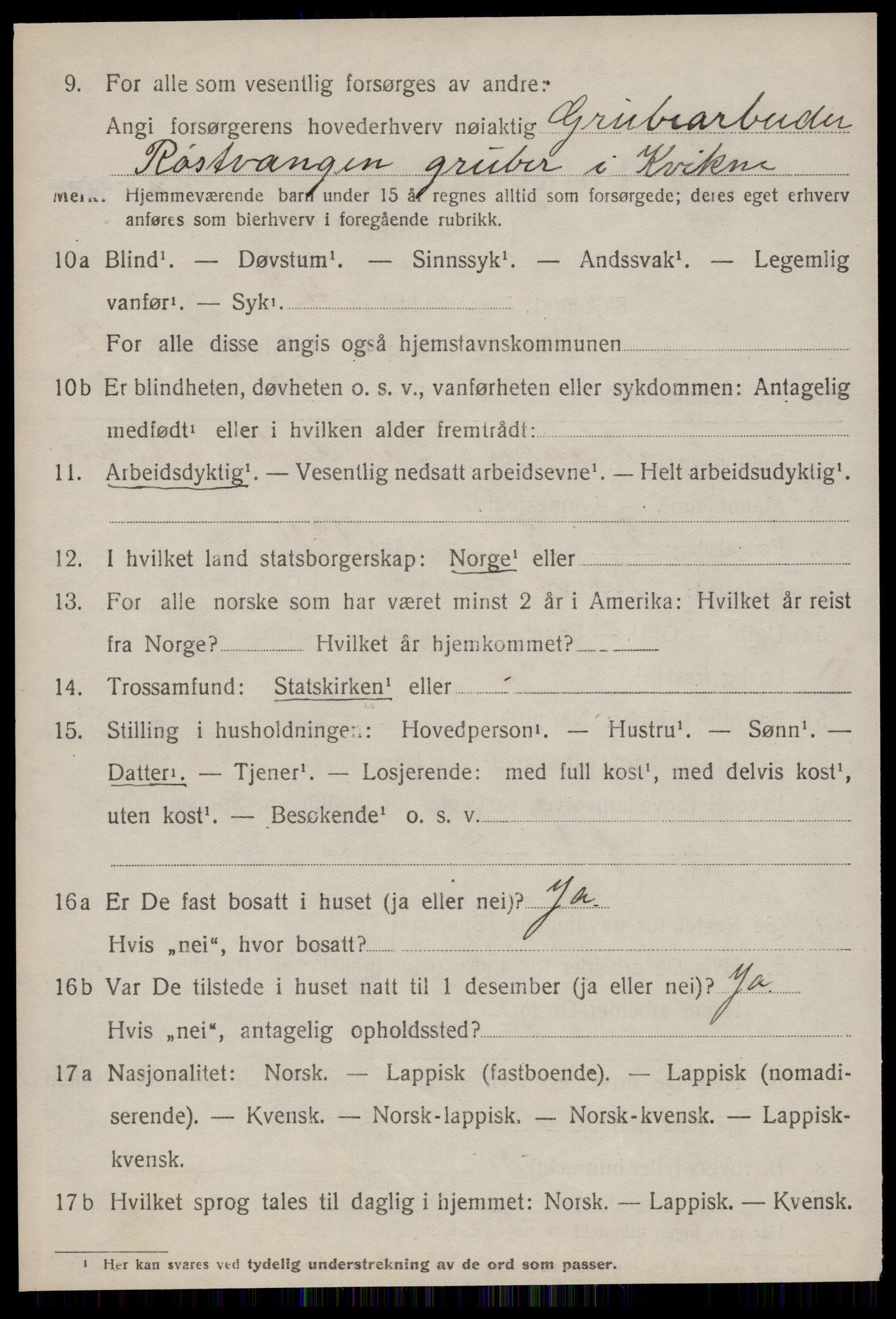 SAT, 1920 census for Røros, 1920, p. 12241