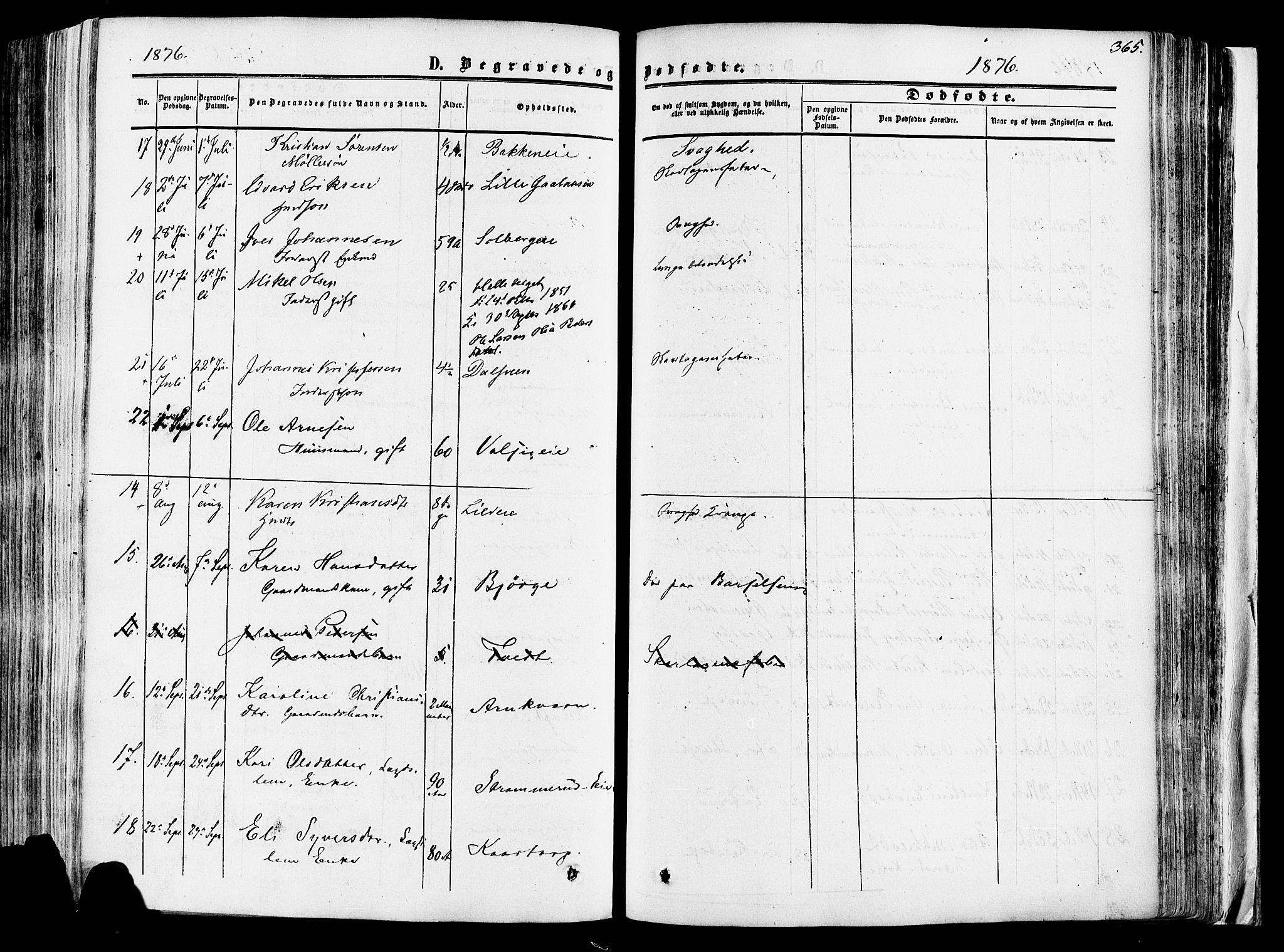 Vang prestekontor, Hedmark, AV/SAH-PREST-008/H/Ha/Haa/L0013: Parish register (official) no. 13, 1855-1879, p. 365