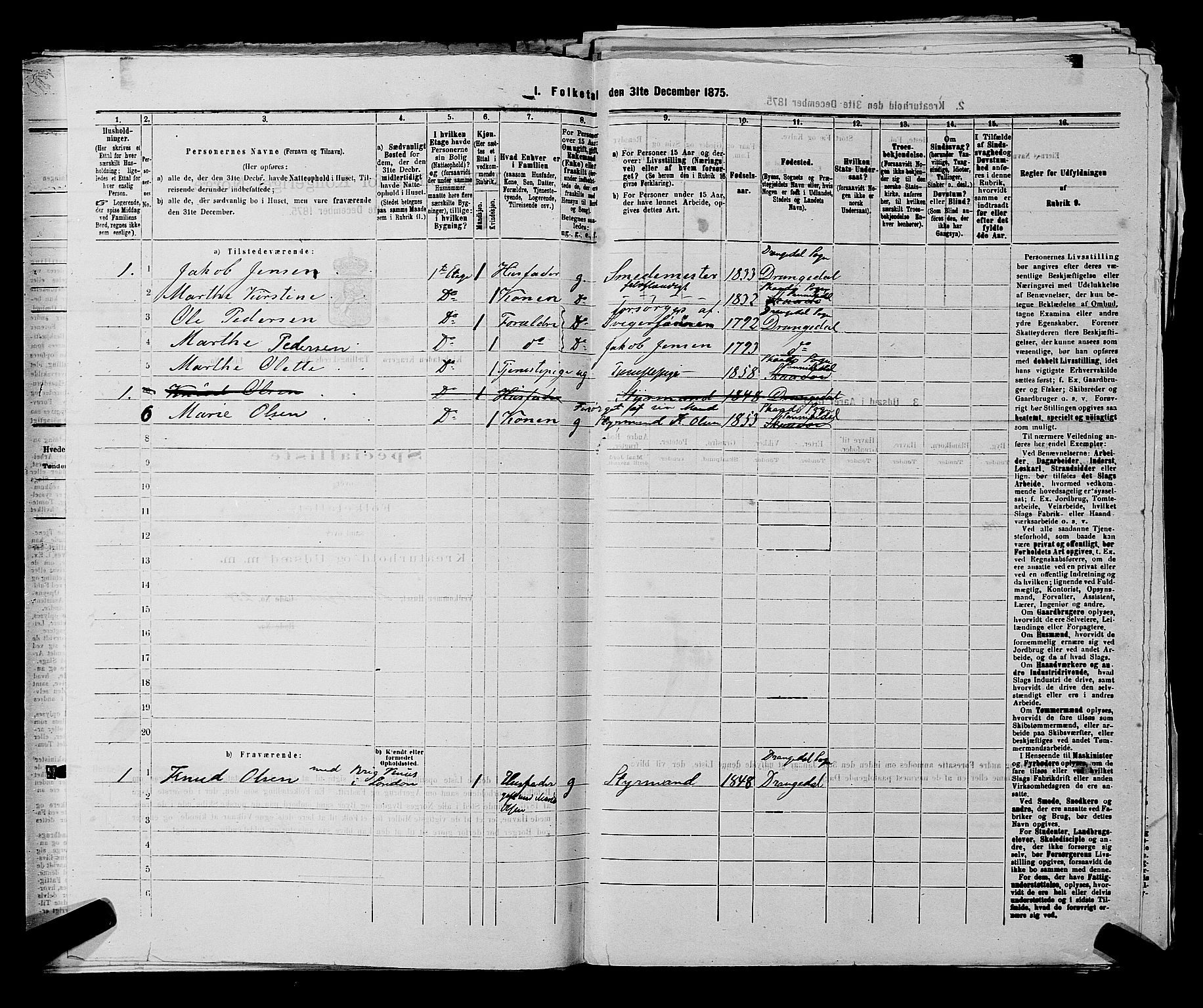 SAKO, 1875 census for 0801P Kragerø, 1875, p. 495