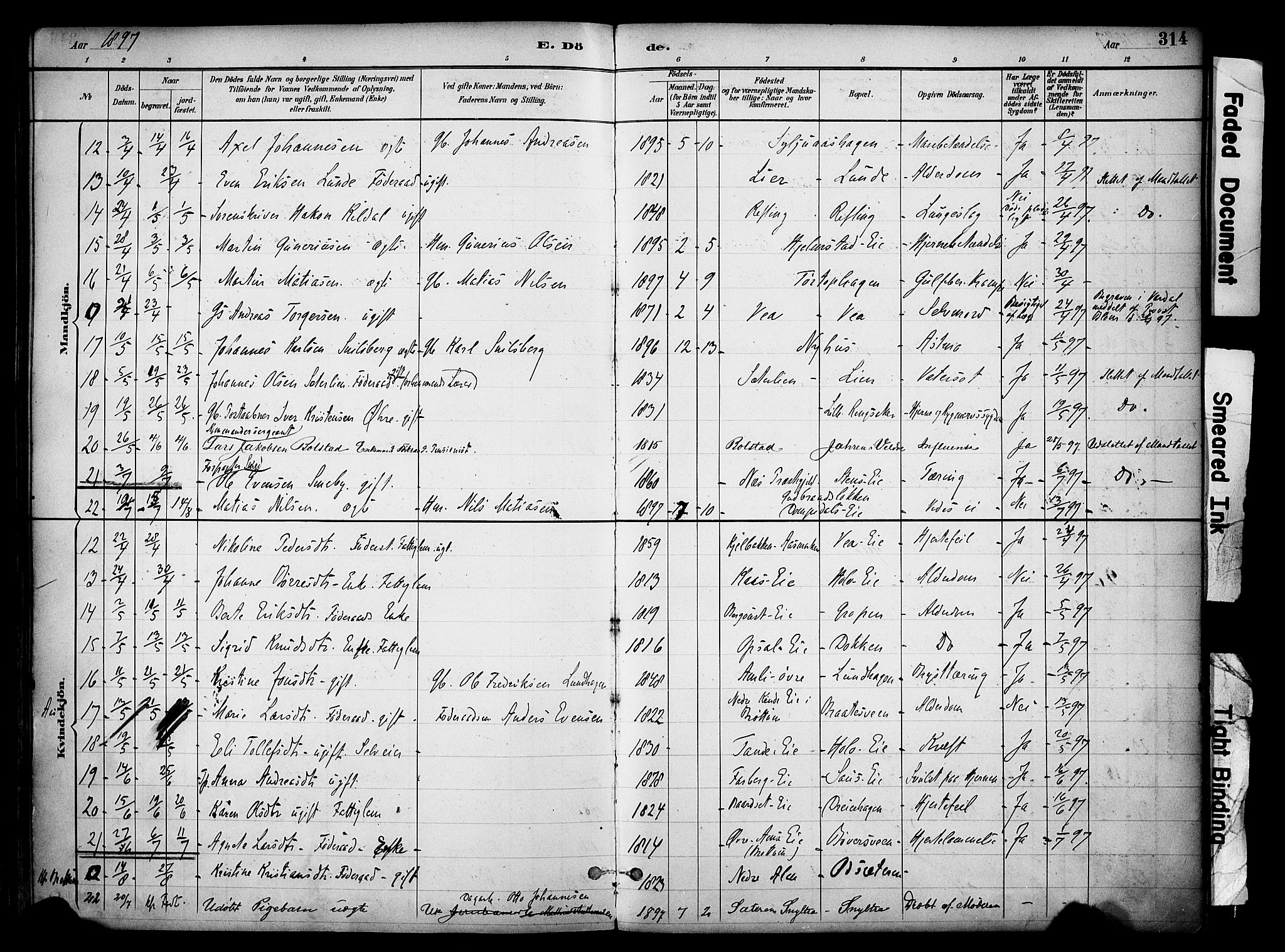 Ringsaker prestekontor, AV/SAH-PREST-014/K/Ka/L0017: Parish register (official) no. 17, 1891-1902, p. 314