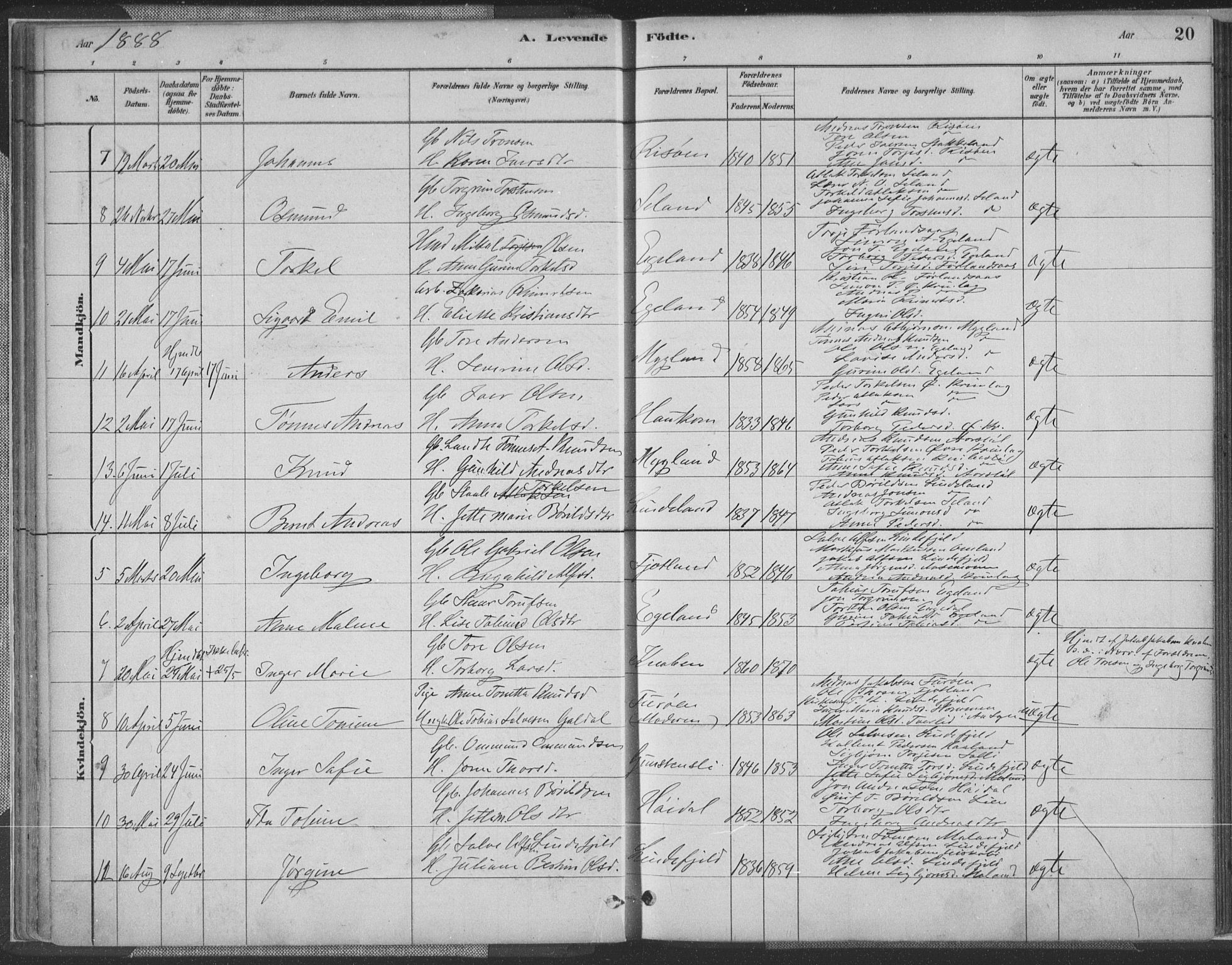 Fjotland sokneprestkontor, AV/SAK-1111-0010/F/Fa/L0002: Parish register (official) no. A 2, 1880-1898, p. 20