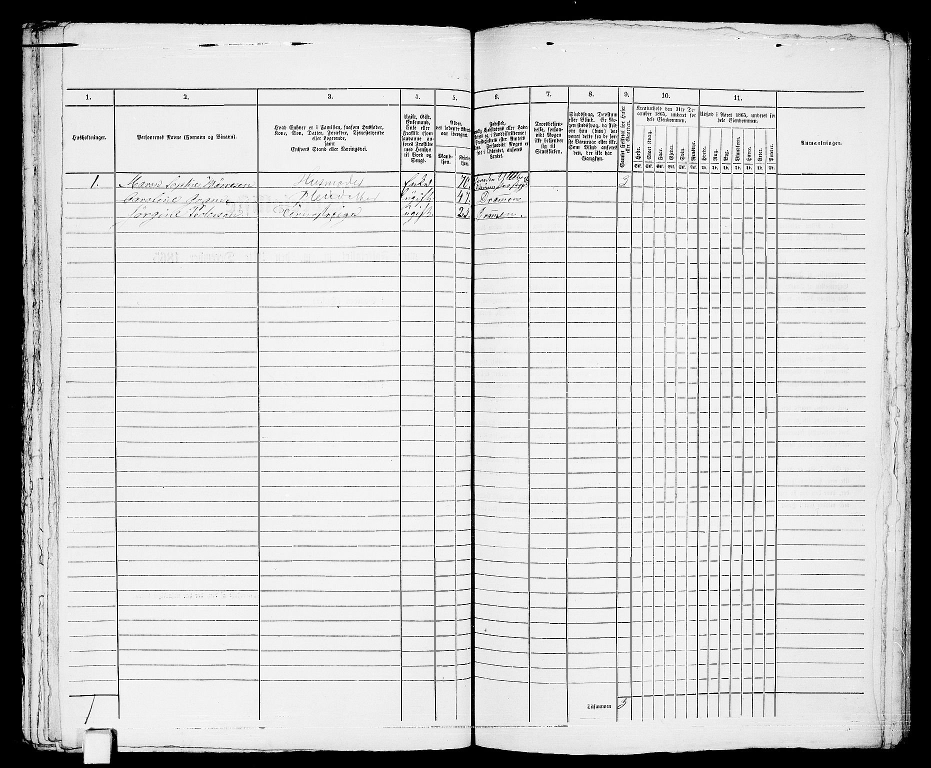 RA, 1865 census for Horten, 1865, p. 965