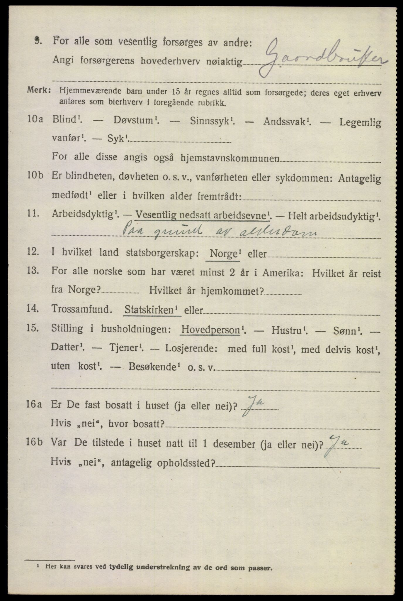 SAKO, 1920 census for Hemsedal, 1920, p. 2947