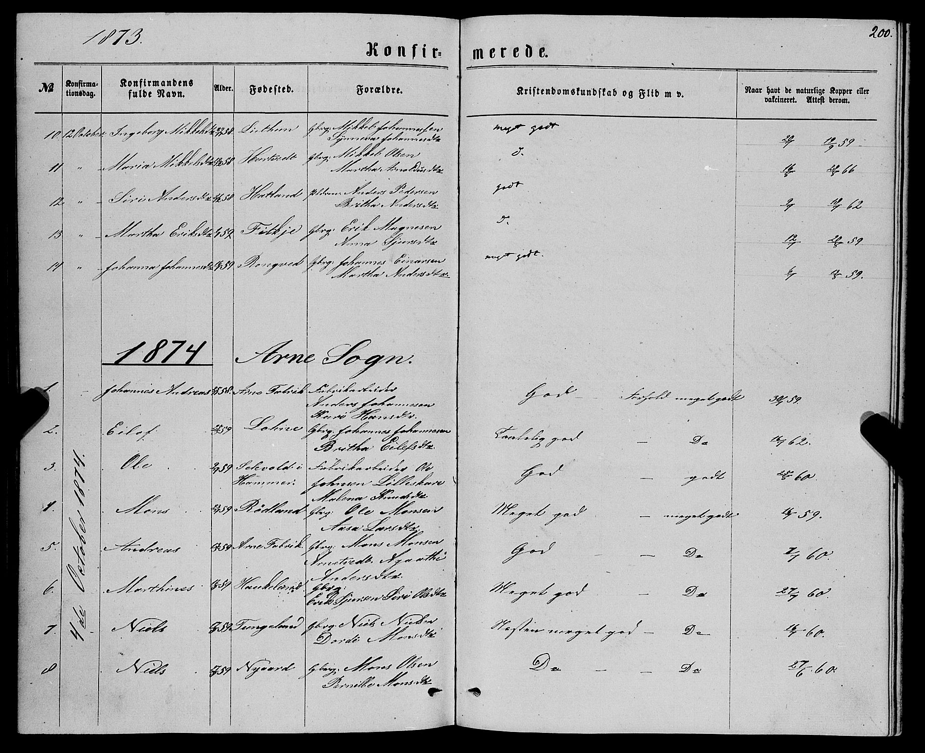 Haus sokneprestembete, AV/SAB-A-75601/H/Haa: Parish register (official) no. A 18, 1871-1877, p. 200