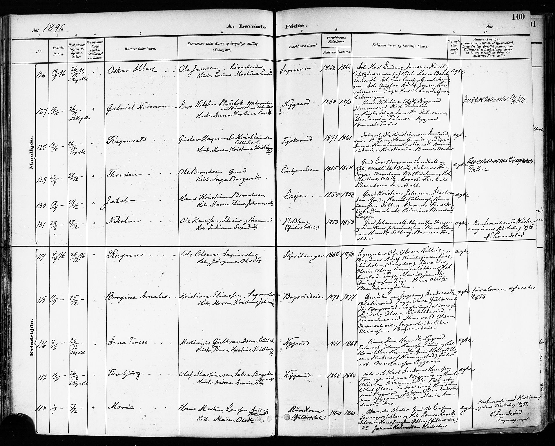 Eidsvoll prestekontor Kirkebøker, SAO/A-10888/F/Fa/L0004: Parish register (official) no. I 4, 1891-1900, p. 100