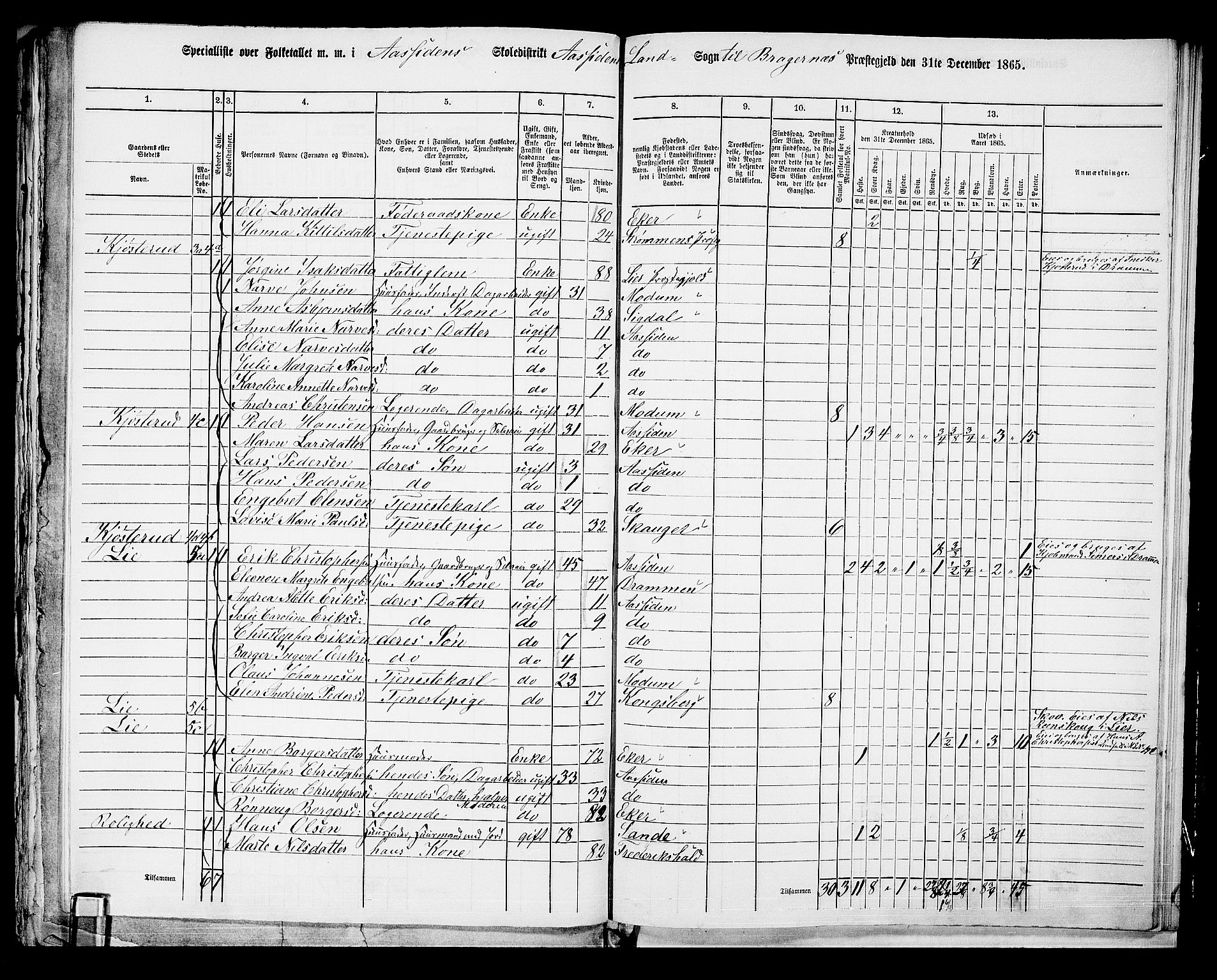 RA, 1865 census for Bragernes/Åssiden, 1865, p. 5