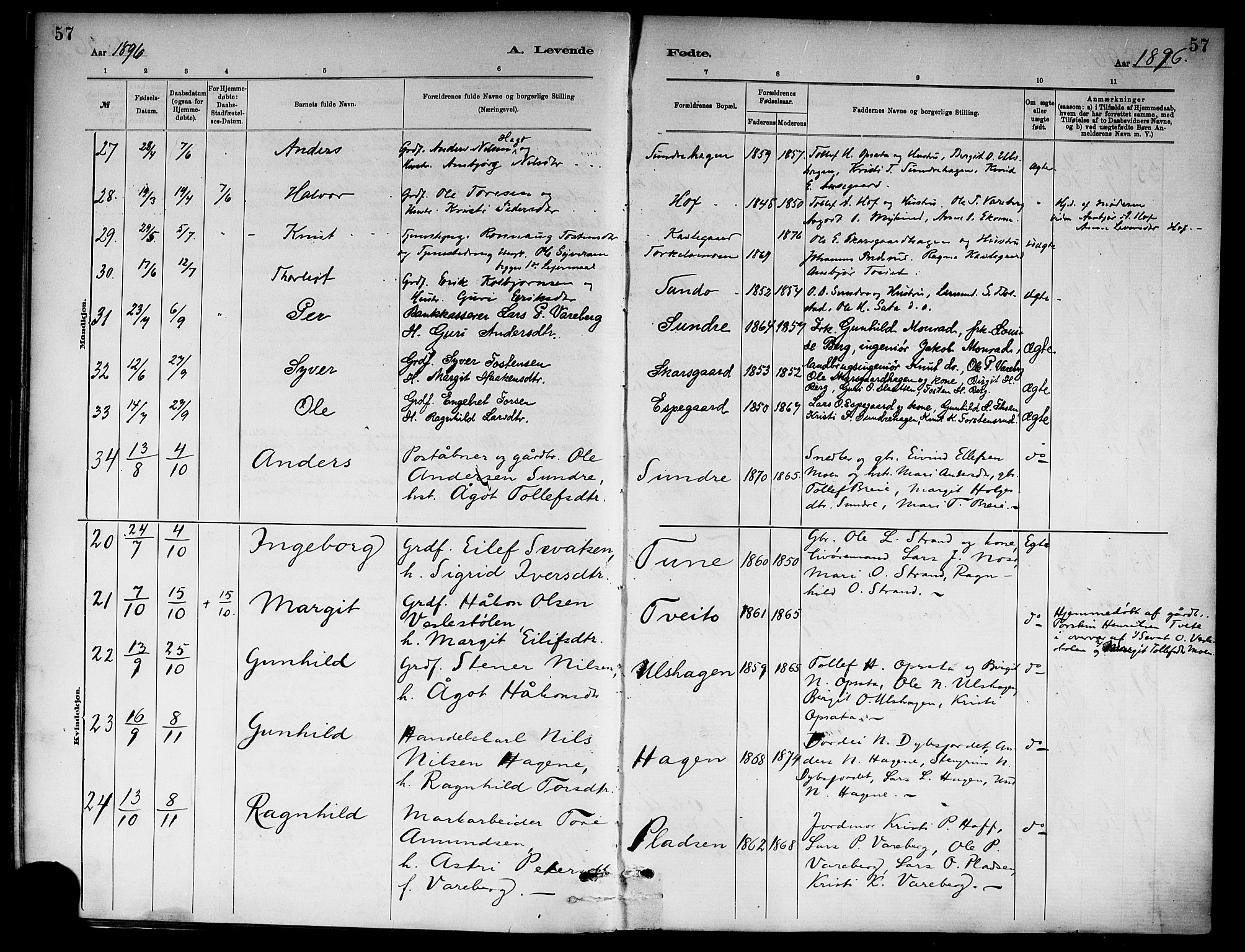 Ål kirkebøker, AV/SAKO-A-249/F/Fa/L0008: Parish register (official) no. I 8, 1882-1896, p. 57