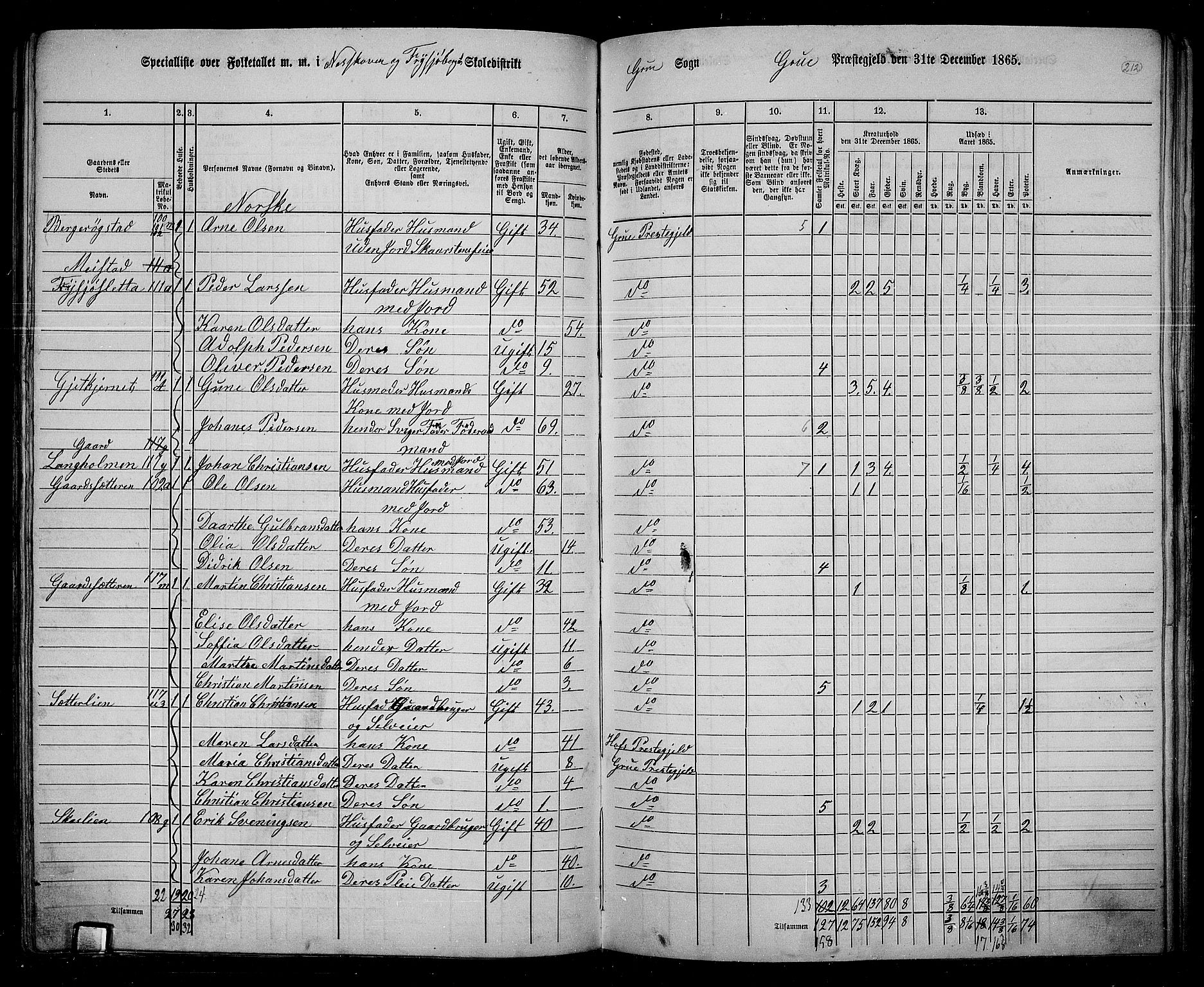 RA, 1865 census for Grue, 1865, p. 185