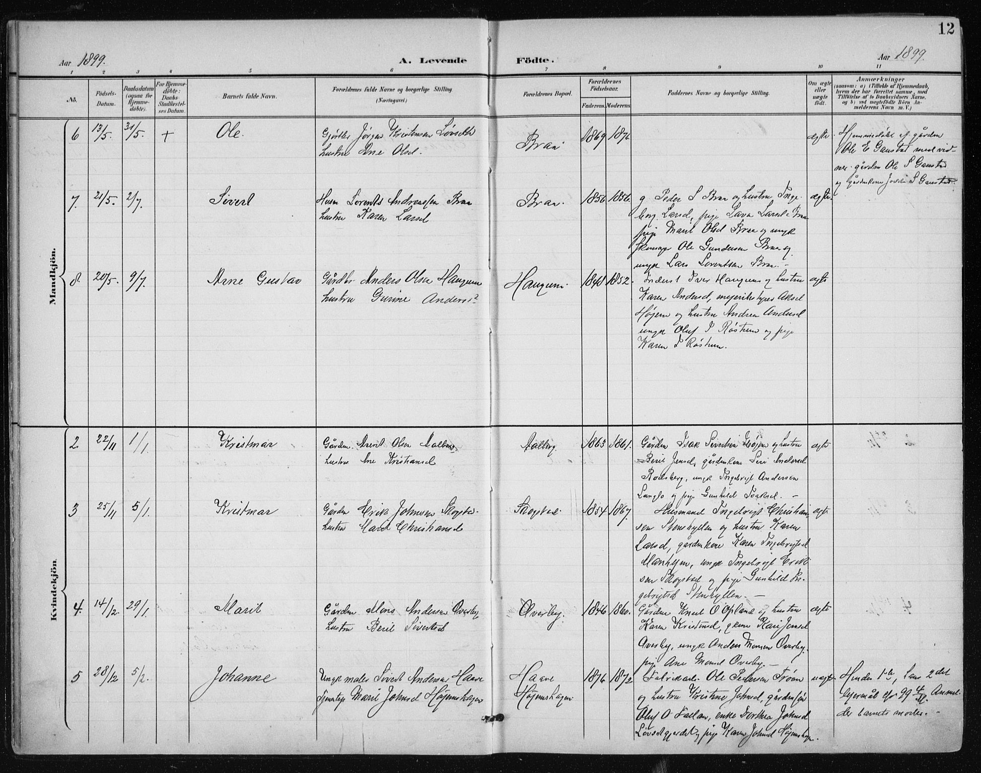 Ministerialprotokoller, klokkerbøker og fødselsregistre - Sør-Trøndelag, AV/SAT-A-1456/612/L0380: Parish register (official) no. 612A12, 1898-1907, p. 12