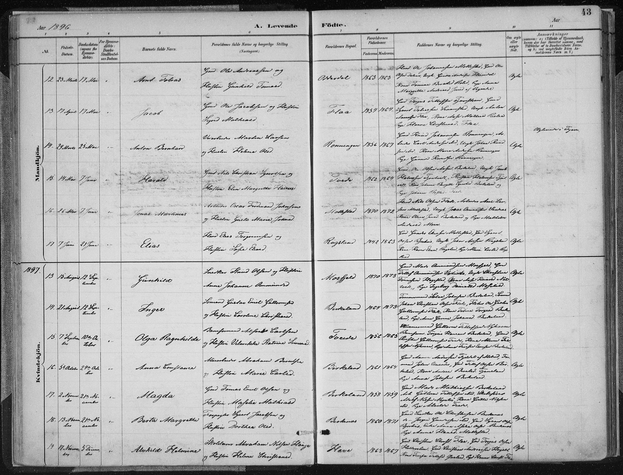 Birkenes sokneprestkontor, SAK/1111-0004/F/Fa/L0005: Parish register (official) no. A 5, 1887-1907, p. 43
