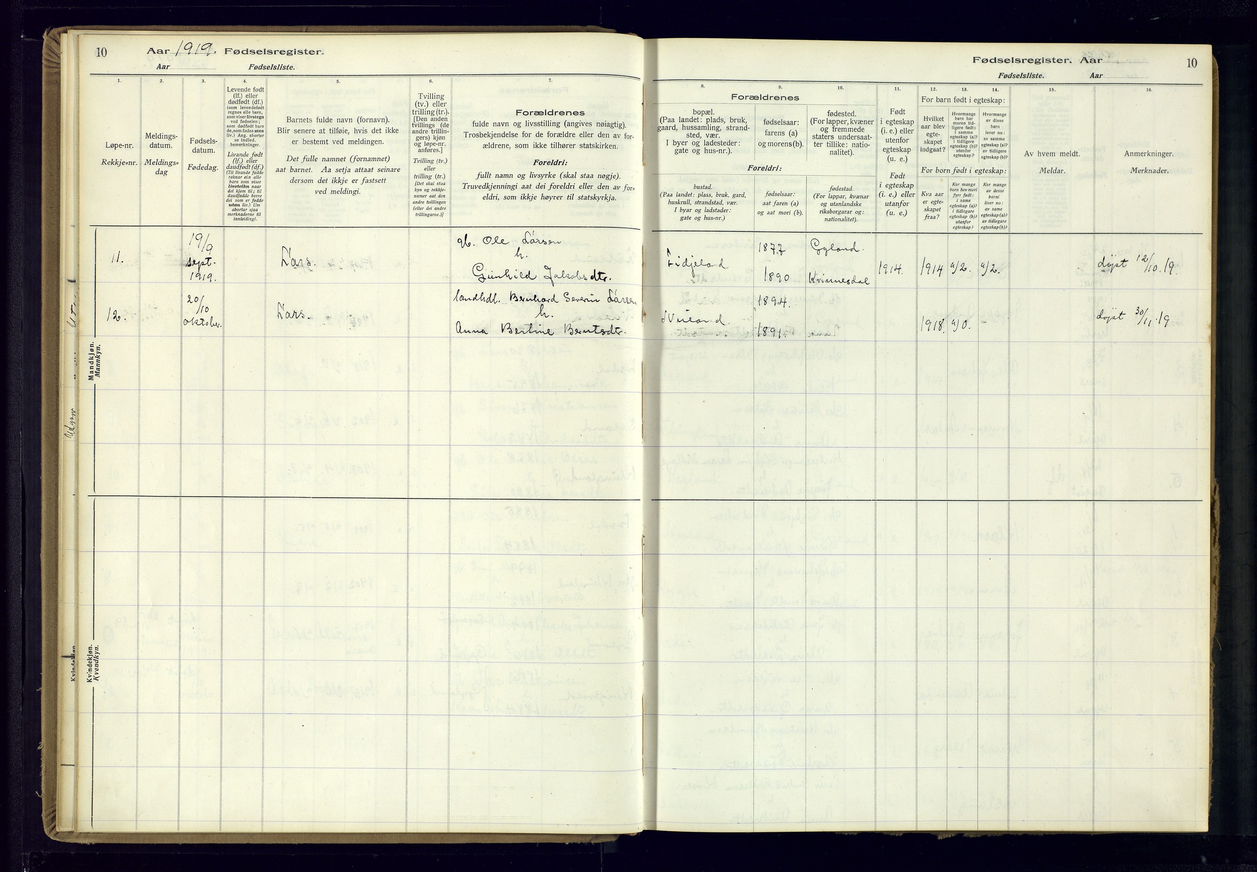 Bakke sokneprestkontor, AV/SAK-1111-0002/J/Ja/L0002: Birth register no. A-VI-19, 1916-1982, p. 10