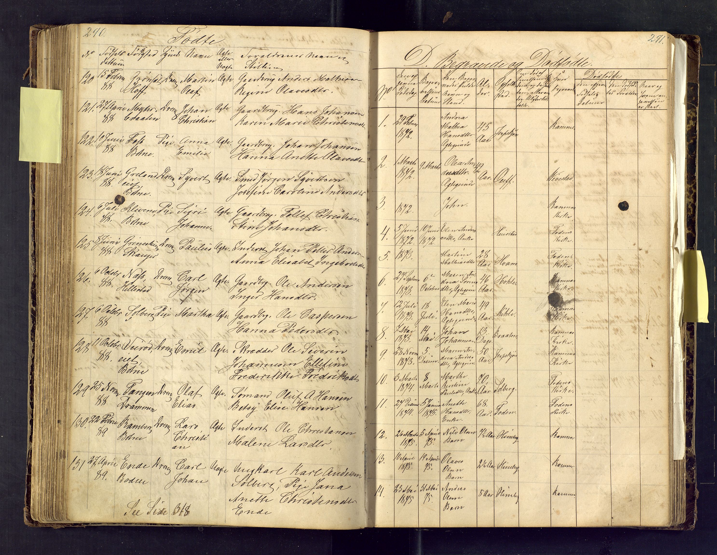 Den evangelisk lutherske frimenighet i Jarlsbergs grevskap med flere steder, AV/SAKO-P-1384/F/Fa/L0001: Dissenter register no. Fa/L0001, 1872-1925, p. 290-291