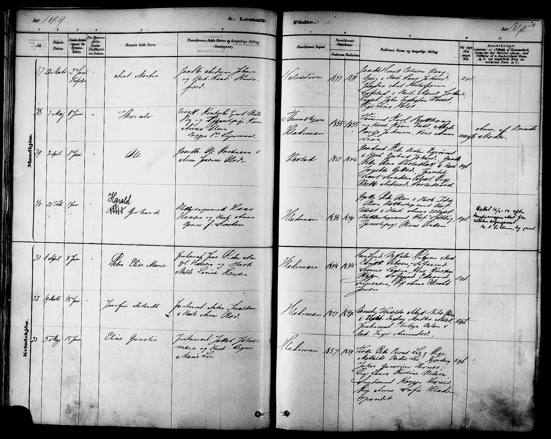 Ministerialprotokoller, klokkerbøker og fødselsregistre - Sør-Trøndelag, SAT/A-1456/606/L0294: Parish register (official) no. 606A09, 1878-1886, p. 36