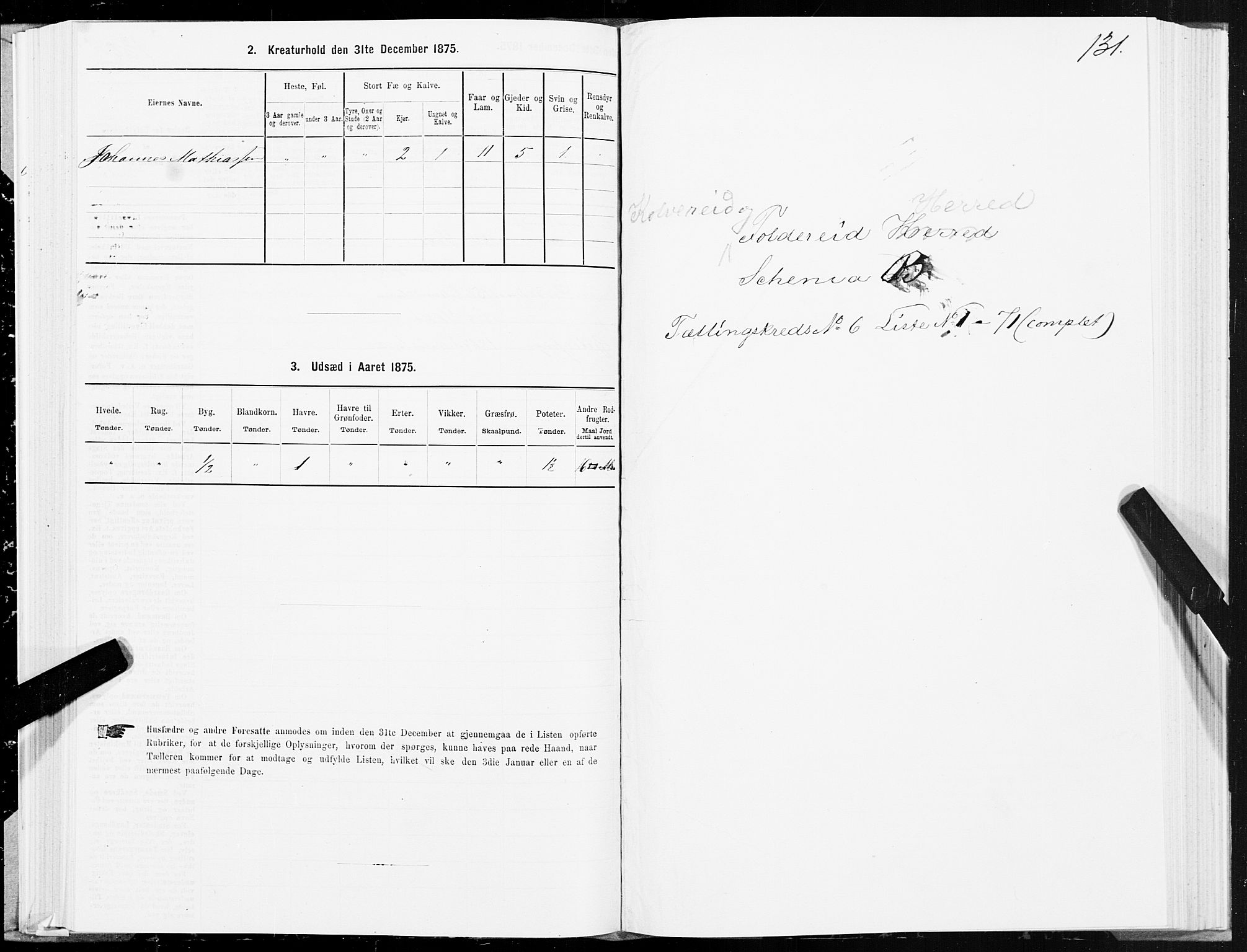 SAT, 1875 census for 1752P Kolvereid, 1875, p. 3131