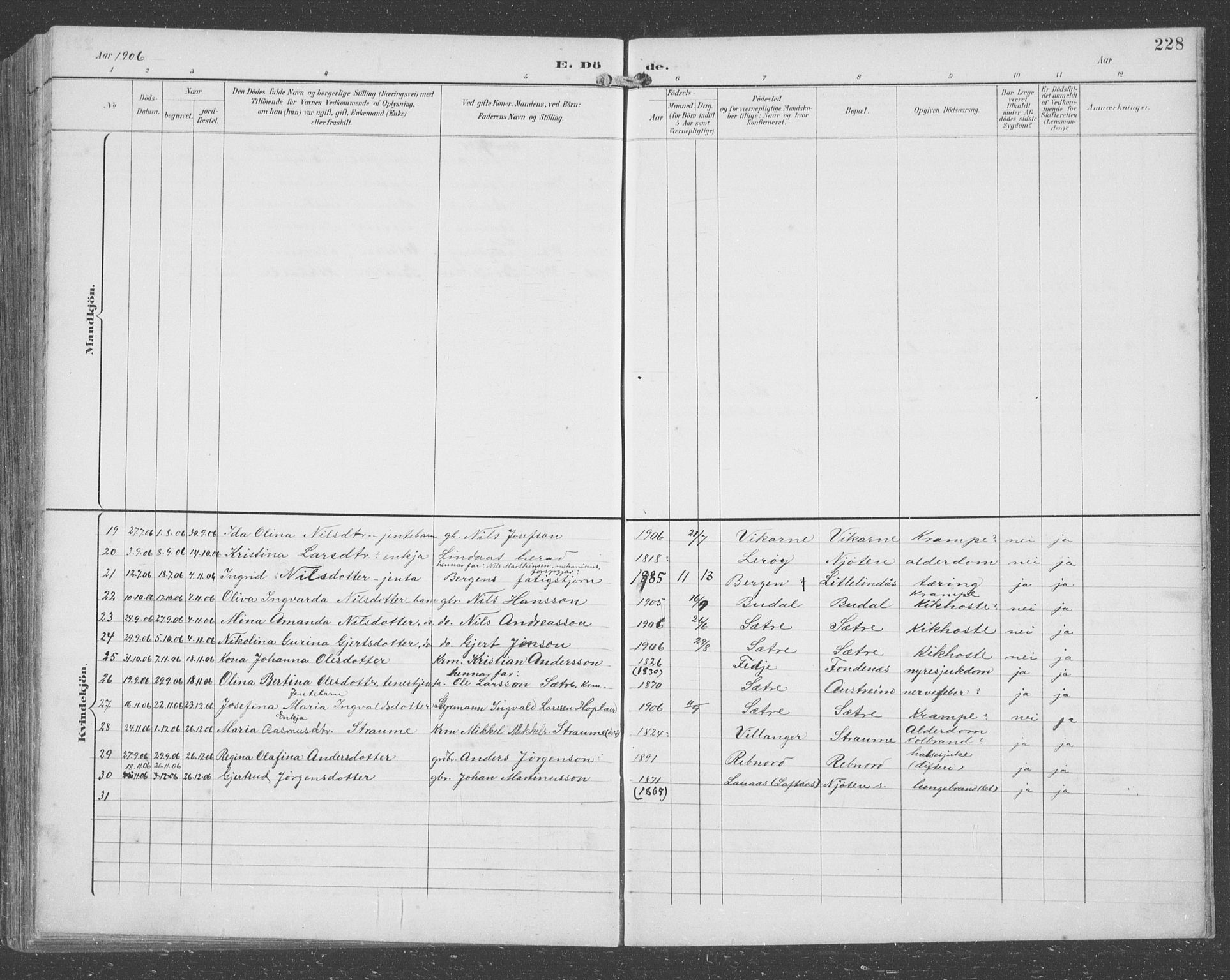 Lindås Sokneprestembete, SAB/A-76701/H/Hab: Parish register (copy) no. C 4, 1894-1910, p. 228
