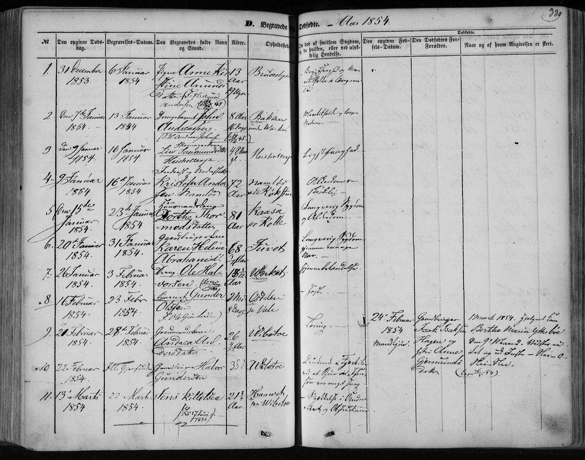 Holla kirkebøker, SAKO/A-272/F/Fa/L0005: Parish register (official) no. 5, 1849-1860, p. 339