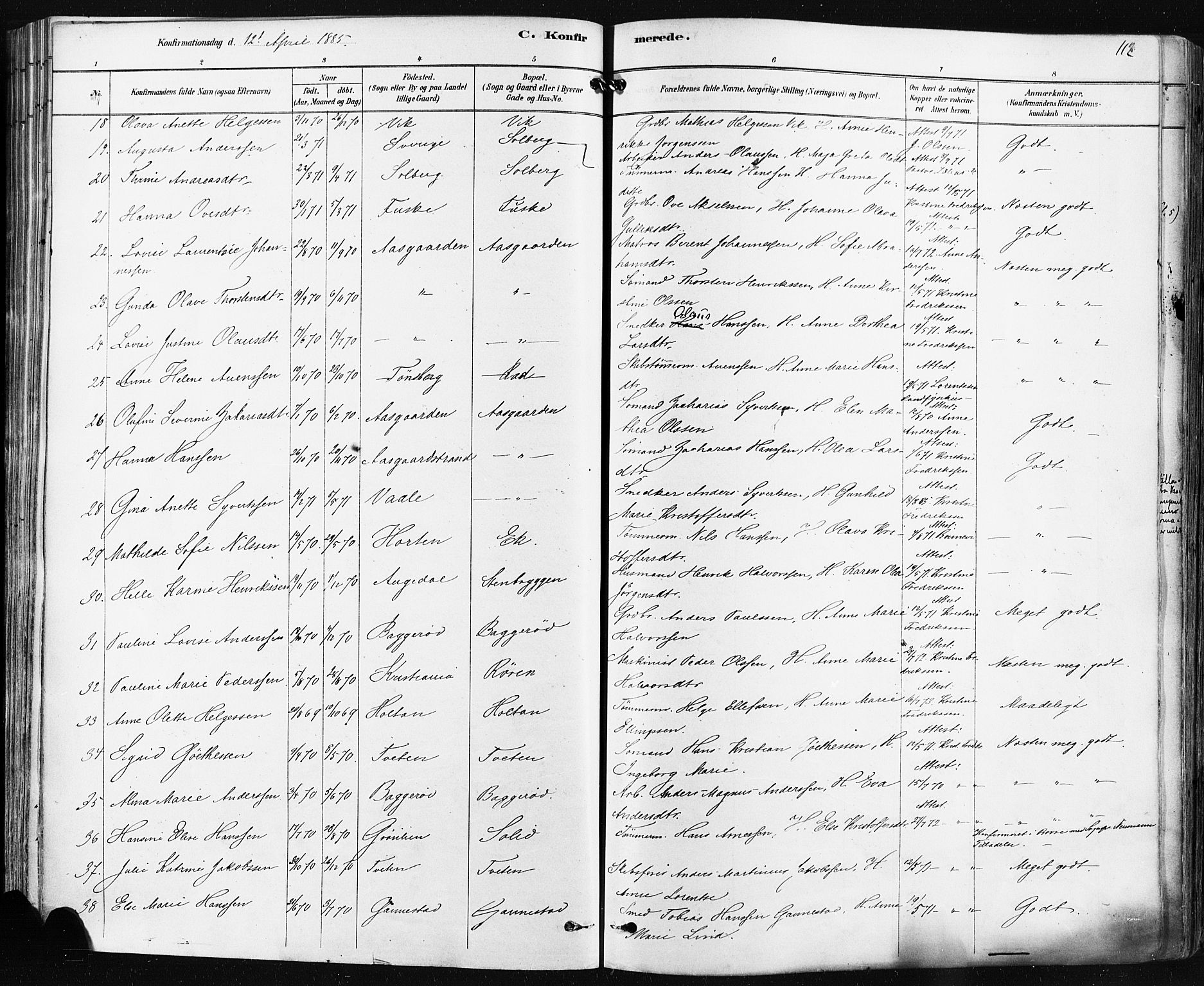 Borre kirkebøker, AV/SAKO-A-338/F/Fa/L0009: Parish register (official) no. I 9, 1878-1896, p. 112