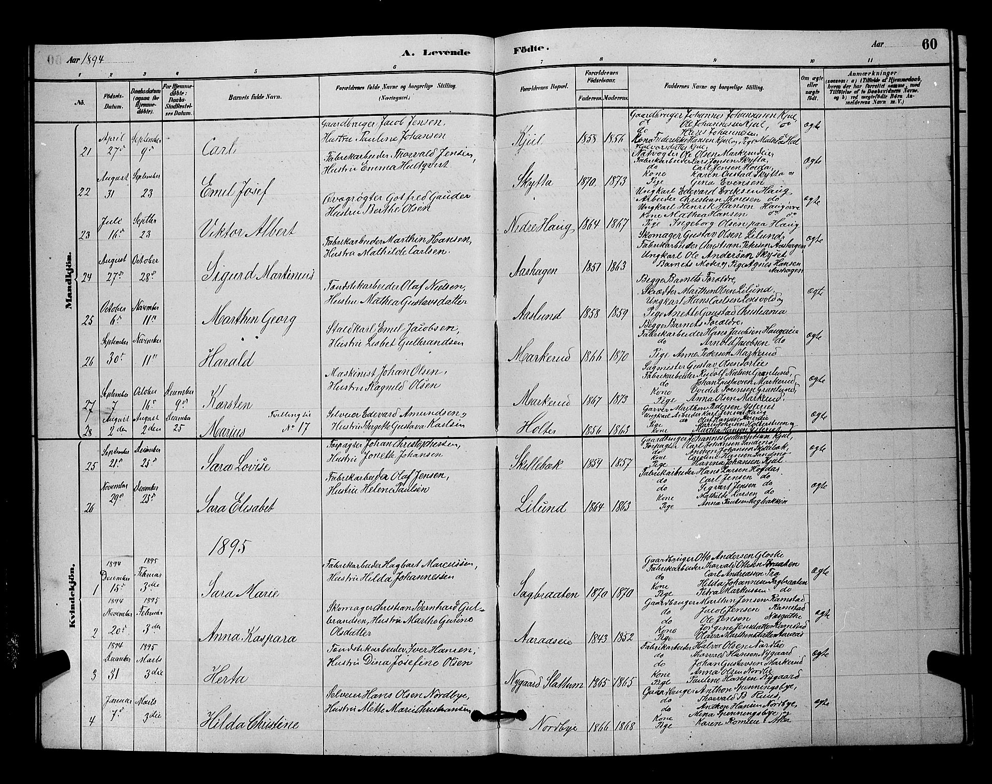 Nittedal prestekontor Kirkebøker, SAO/A-10365a/G/Ga/L0002: Parish register (copy) no. I 2, 1879-1901, p. 60