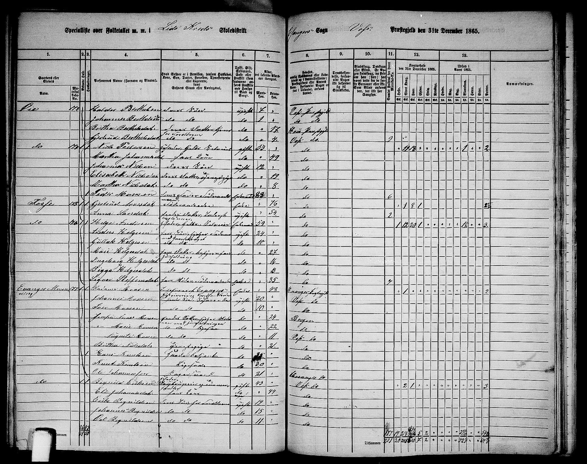 RA, 1865 census for Voss, 1865, p. 400