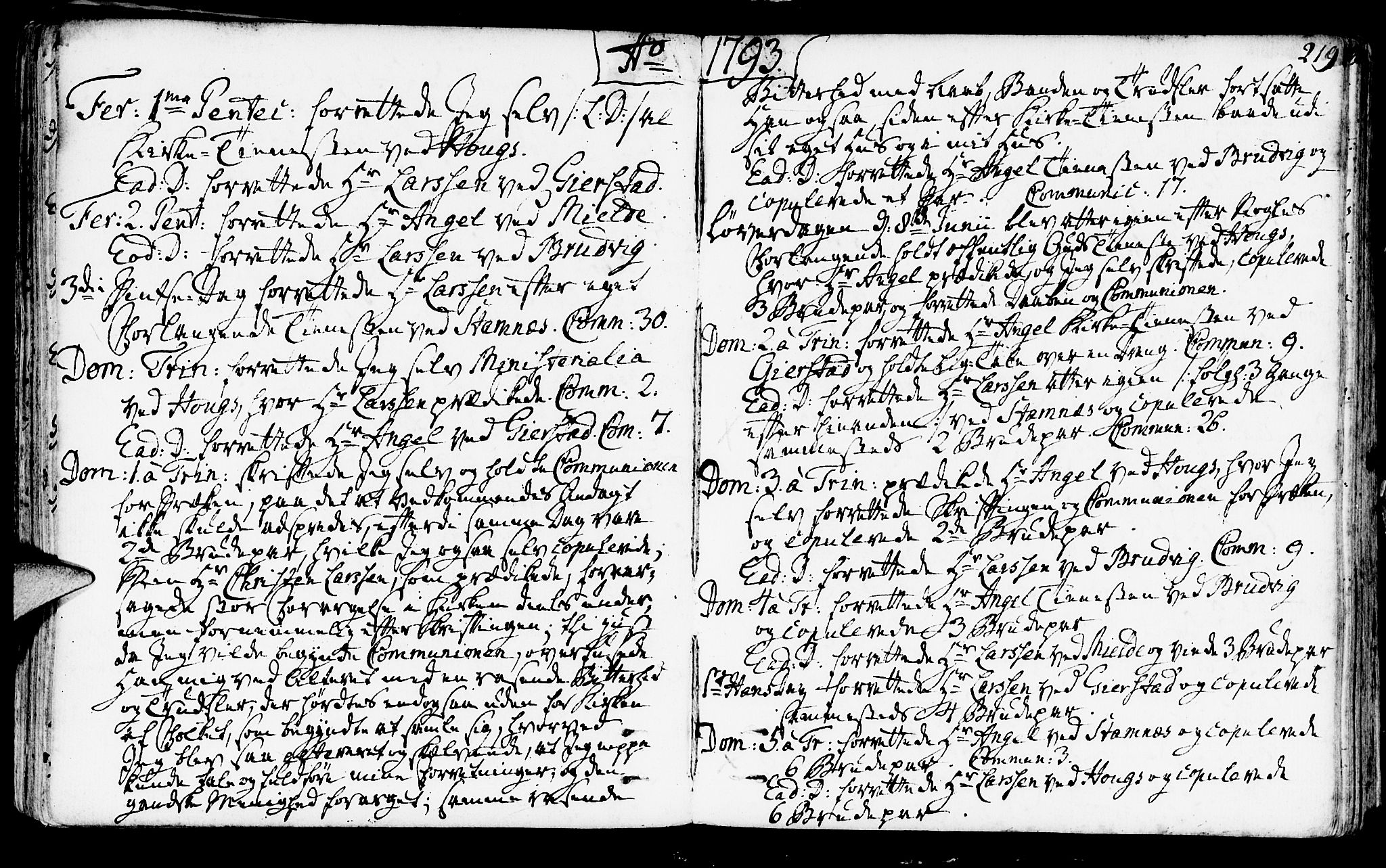 Haus sokneprestembete, AV/SAB-A-75601/H/Haa: Parish register (official) no. A 10, 1782-1796, p. 219