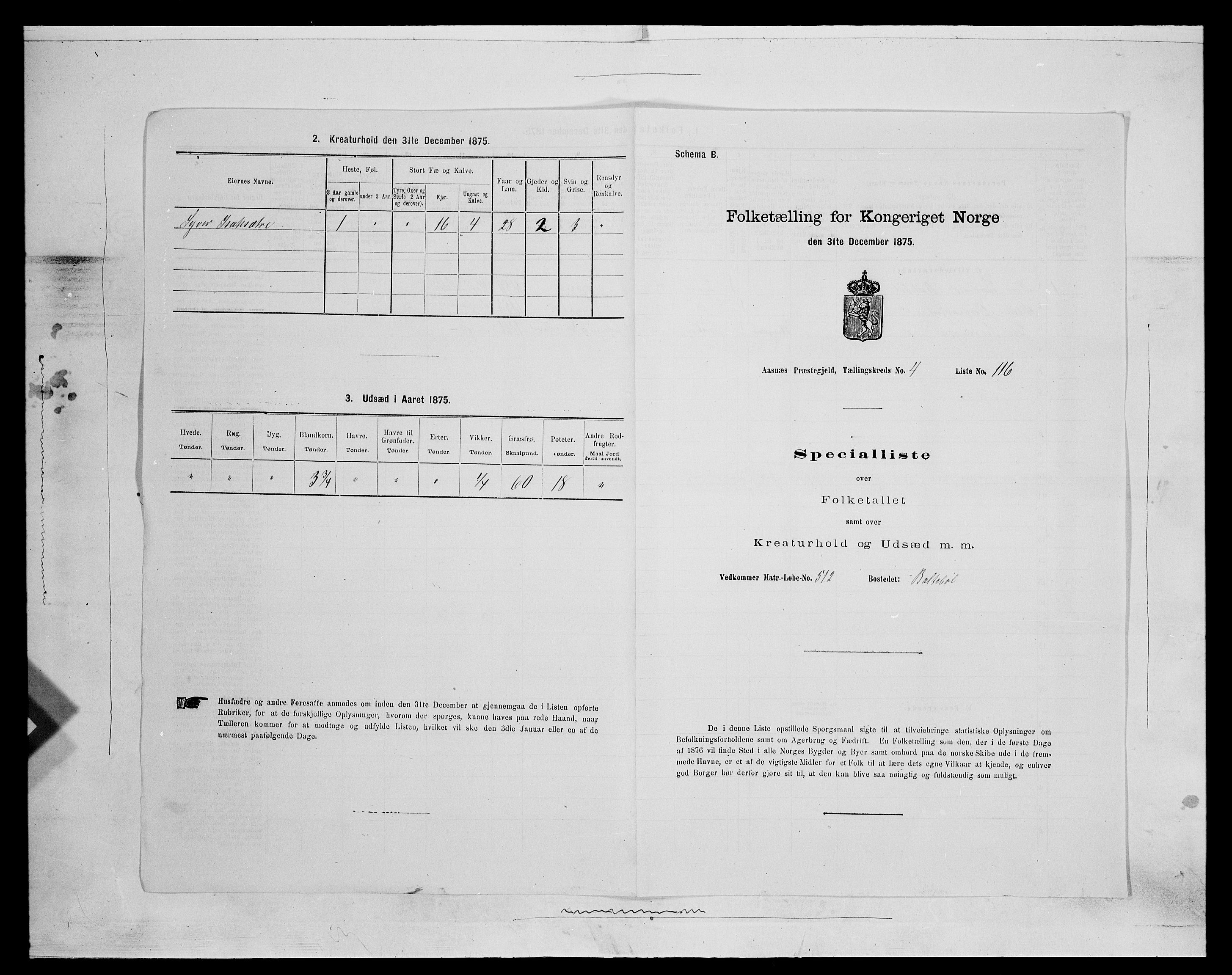 SAH, 1875 census for 0425P Åsnes, 1875, p. 687