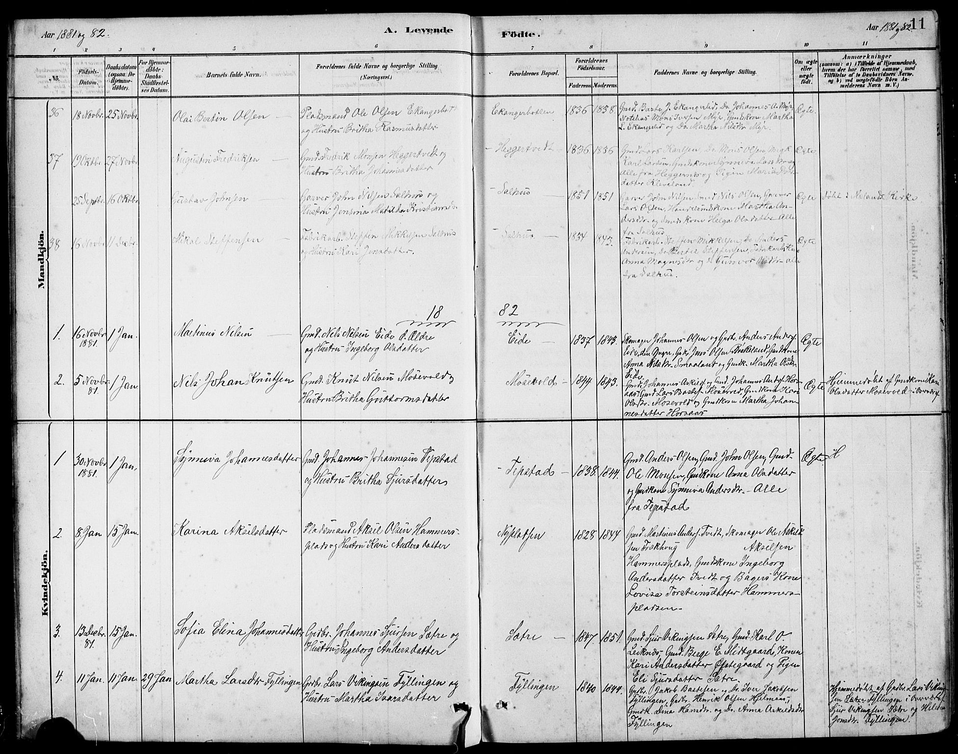 Hamre sokneprestembete, AV/SAB-A-75501/H/Ha/Hab: Parish register (copy) no. B 3, 1881-1898, p. 11