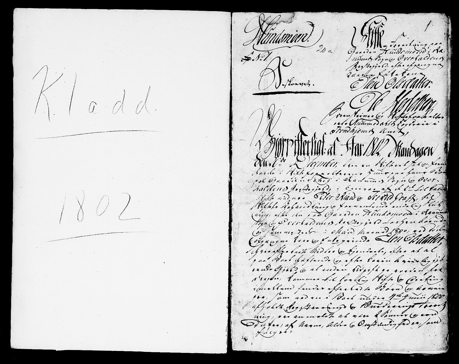 Namdal sorenskriveri, AV/SAT-A-4133/1/3/3A/L0028: Skifteprotokoll nr. 20a, 1802, p. 0b-1a