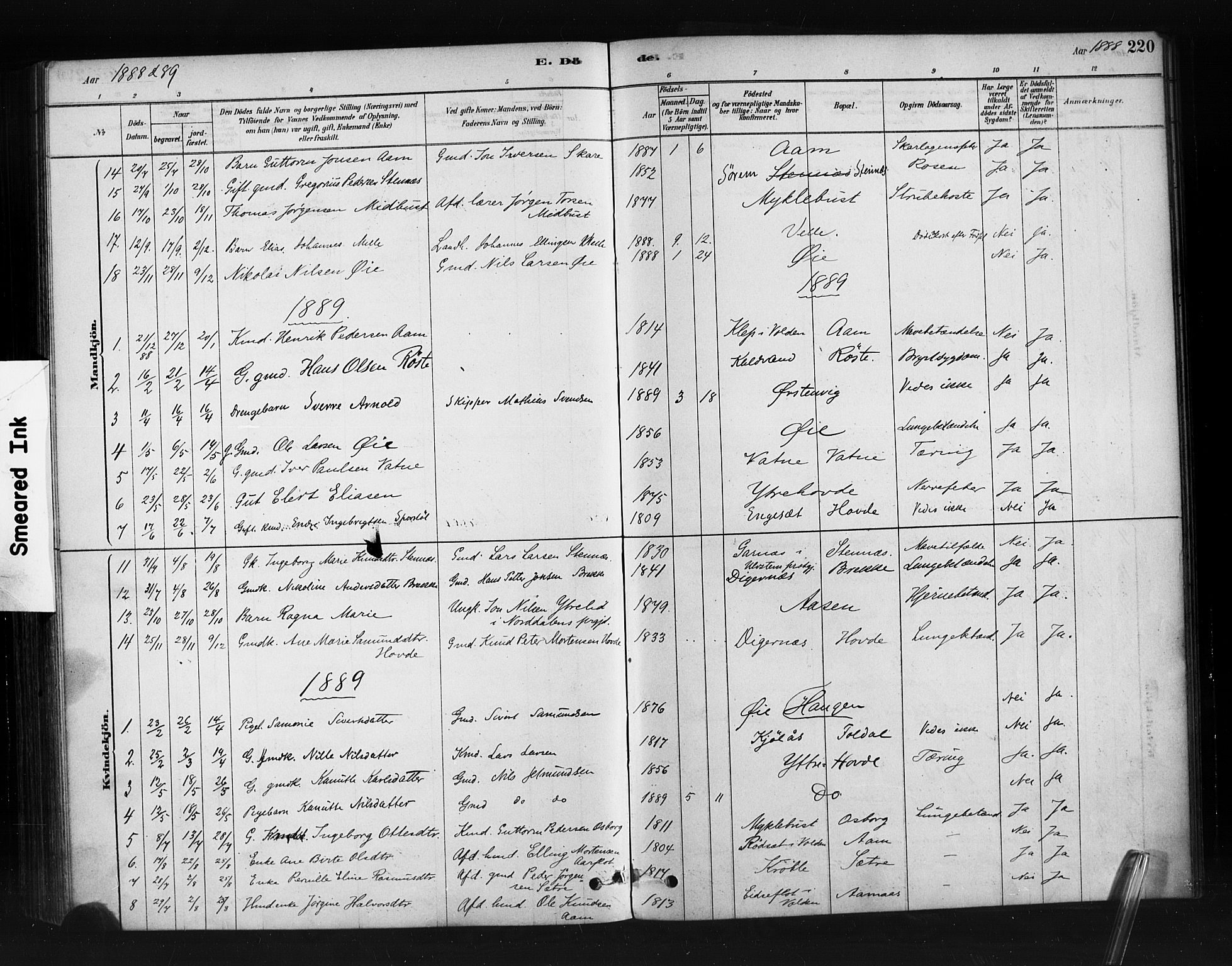 Ministerialprotokoller, klokkerbøker og fødselsregistre - Møre og Romsdal, AV/SAT-A-1454/513/L0176: Parish register (official) no. 513A03, 1877-1889, p. 220