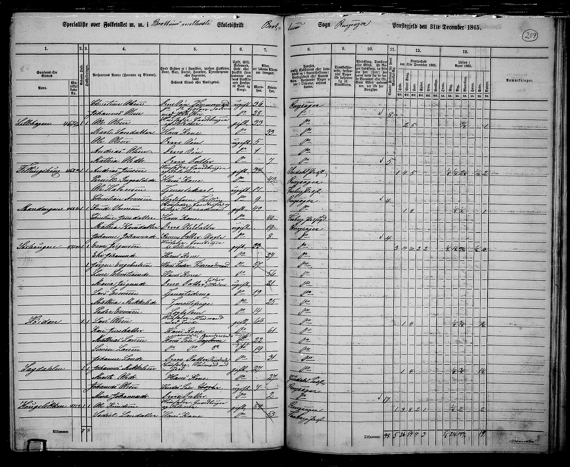 RA, 1865 census for Ringsaker, 1865, p. 448