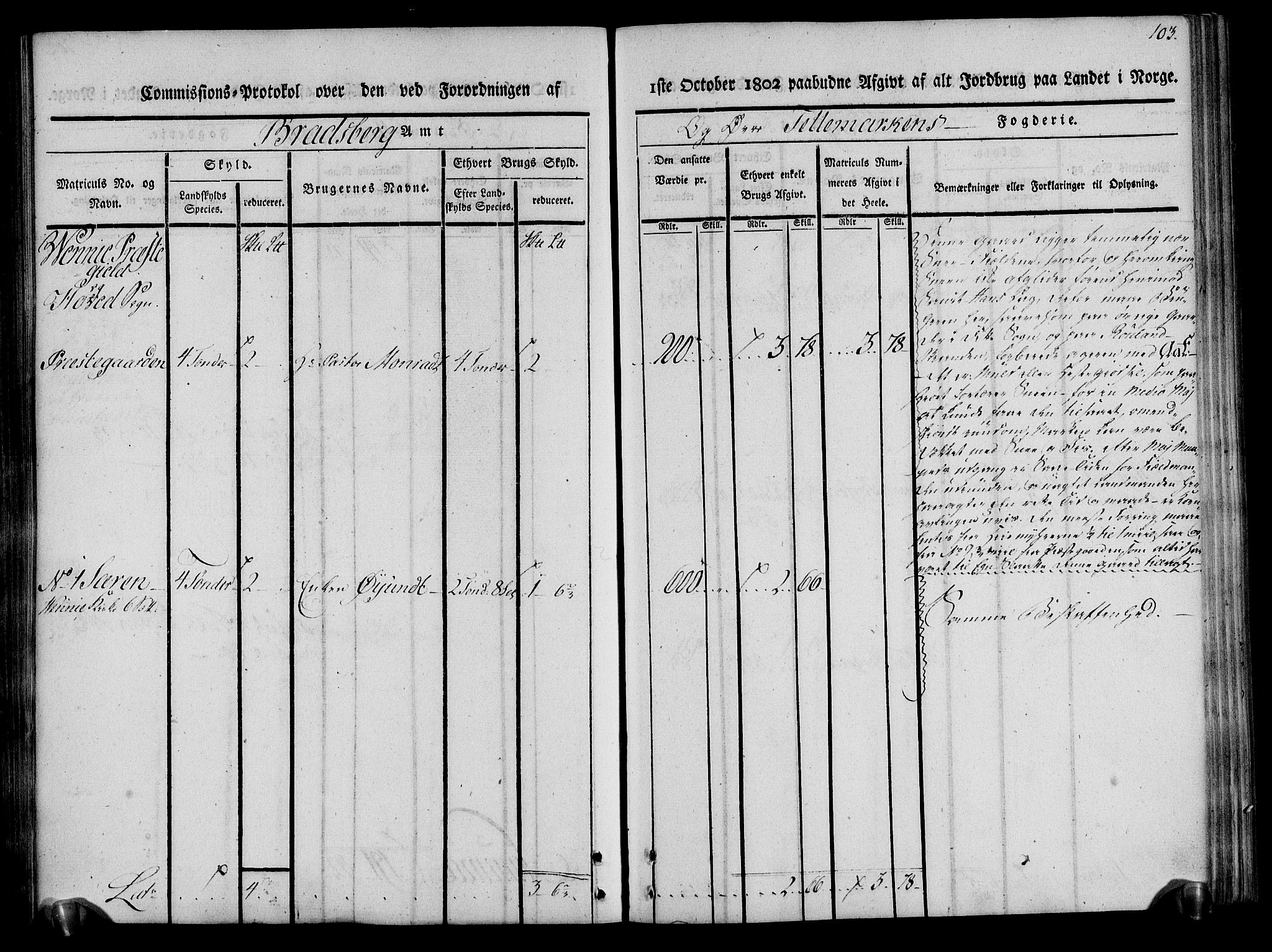 Rentekammeret inntil 1814, Realistisk ordnet avdeling, AV/RA-EA-4070/N/Ne/Nea/L0075: Øvre Telemarken fogderi. Kommisjonsprotokoll for fogderiets vestre del - Kviteseid, Vinje, Moland [):Fyresdal] og Lårdal prestegjeld., 1803, p. 103