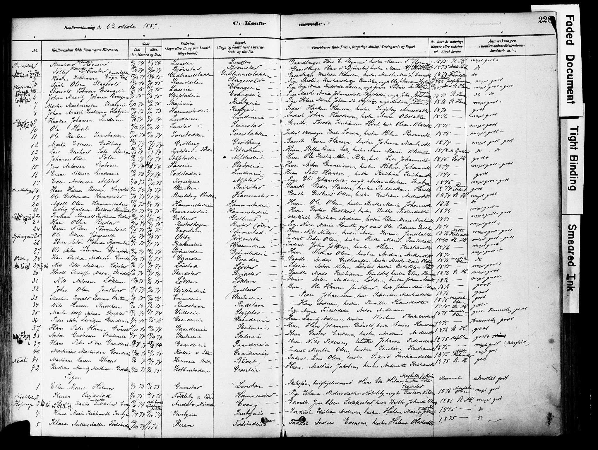 Østre Toten prestekontor, SAH/PREST-104/H/Ha/Haa/L0006: Parish register (official) no. 6 /1, 1878-1896, p. 228