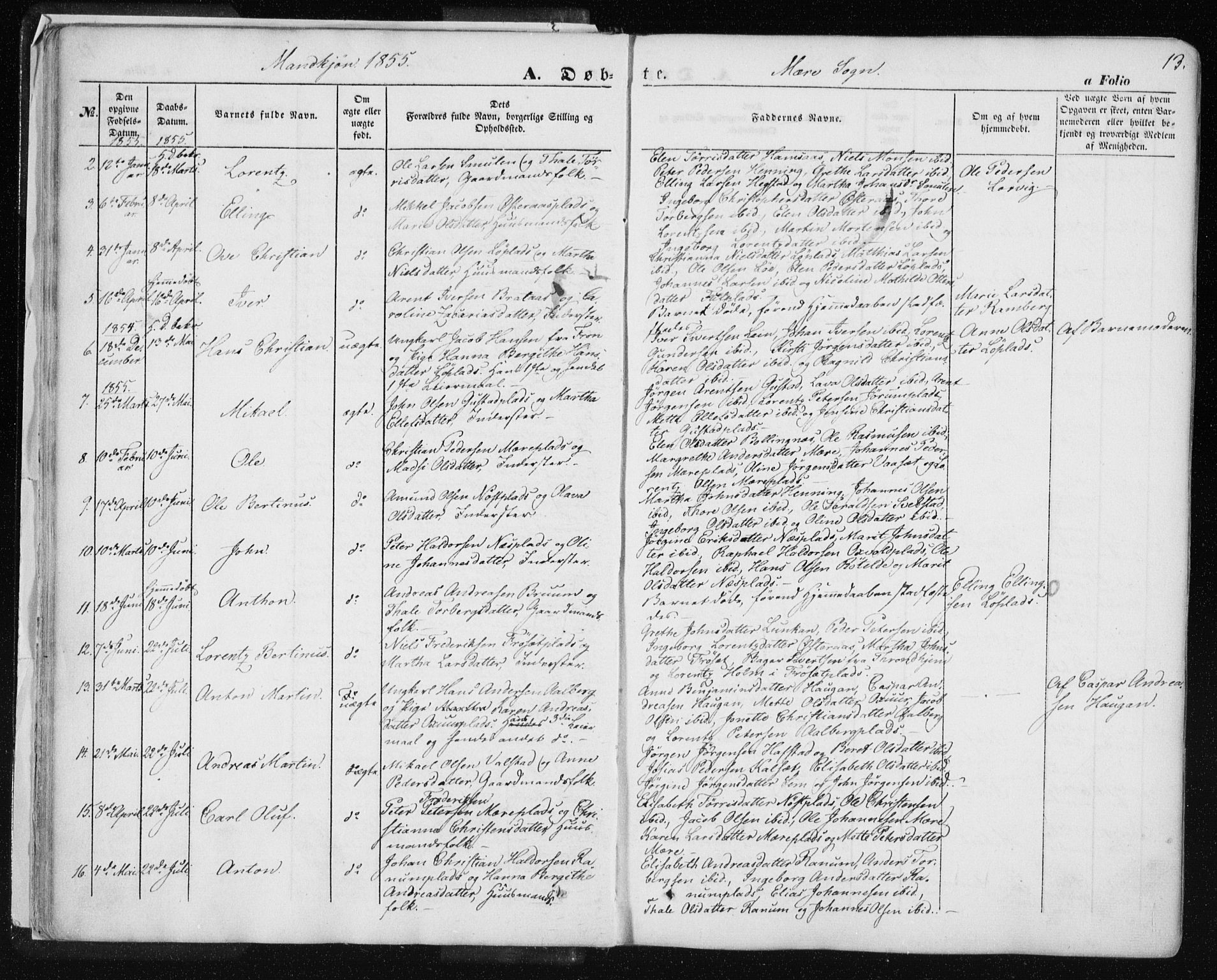 Ministerialprotokoller, klokkerbøker og fødselsregistre - Nord-Trøndelag, SAT/A-1458/735/L0342: Parish register (official) no. 735A07 /1, 1849-1862, p. 13