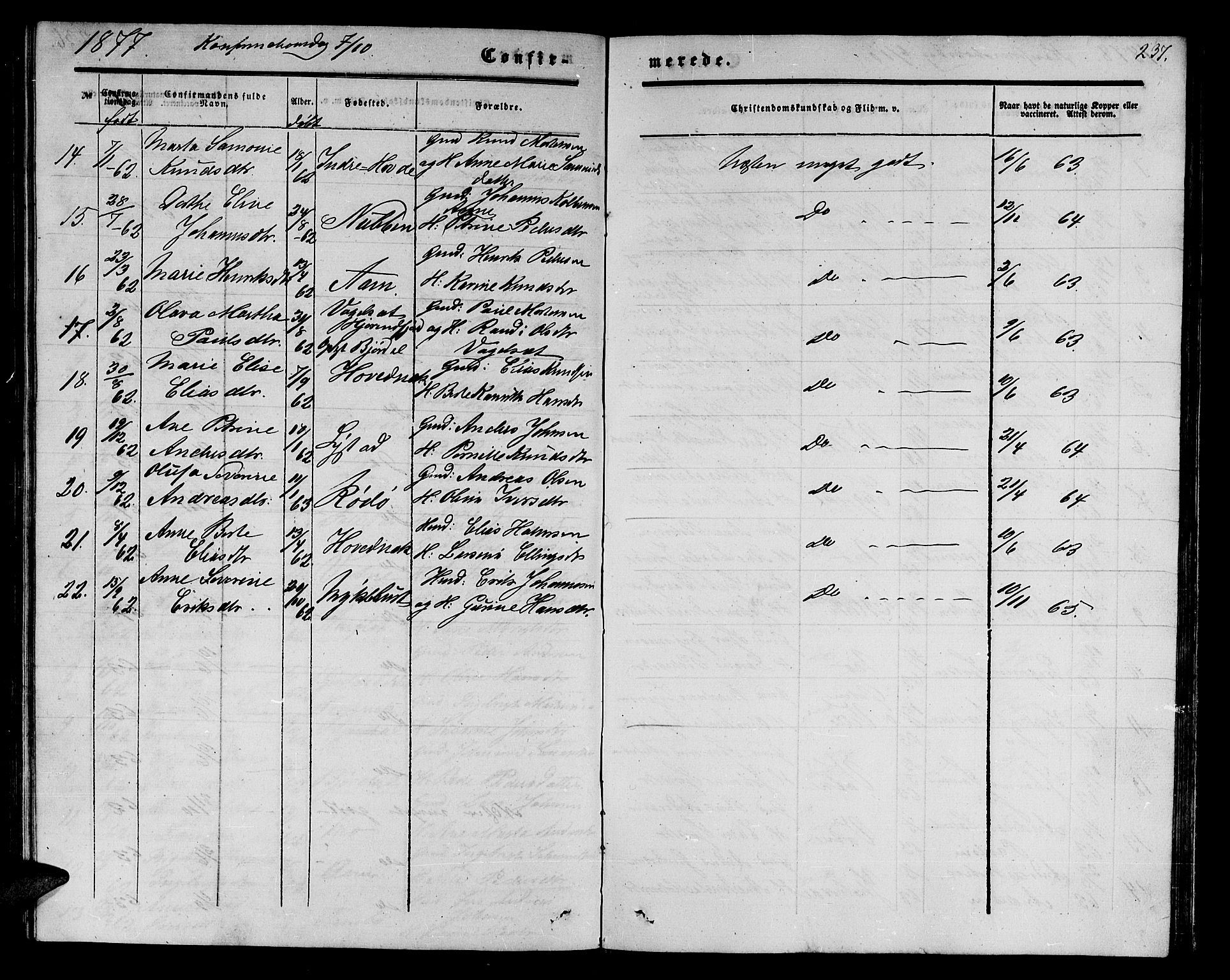 Ministerialprotokoller, klokkerbøker og fødselsregistre - Møre og Romsdal, AV/SAT-A-1454/513/L0188: Parish register (copy) no. 513C02, 1865-1882, p. 237