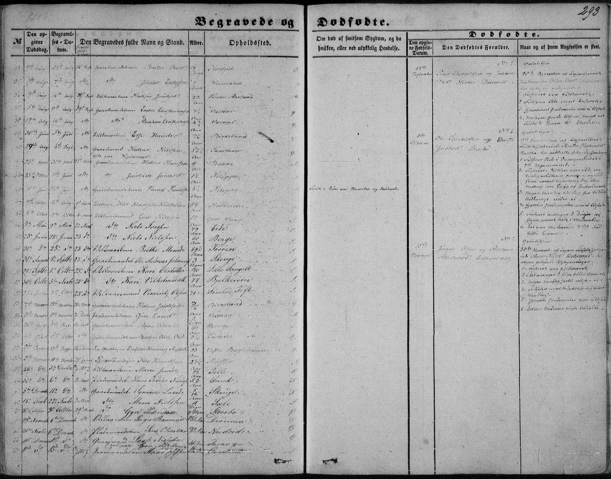 Sund sokneprestembete, AV/SAB-A-99930: Parish register (official) no. A 14, 1850-1866, p. 293